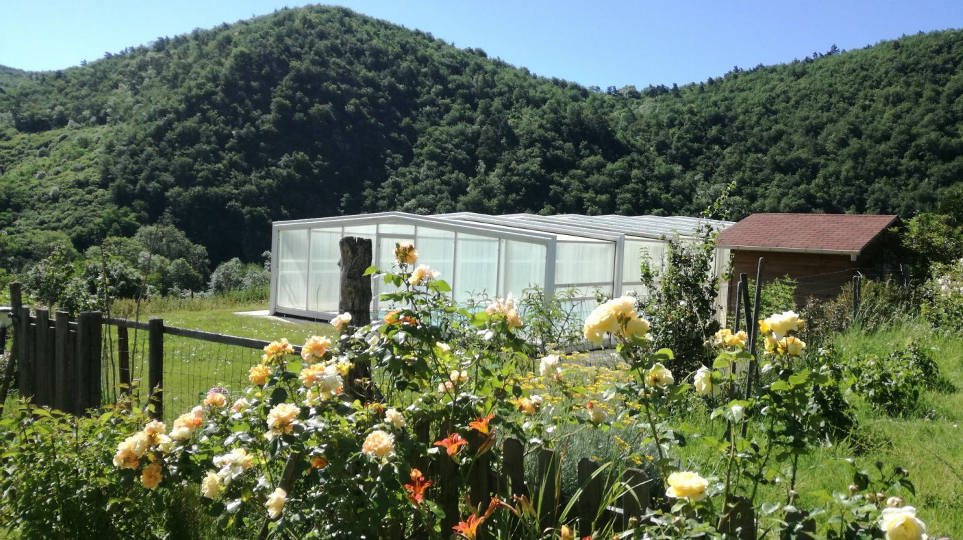 Andere in Blesle, Auvergne-Rhône-Alpes 11140704