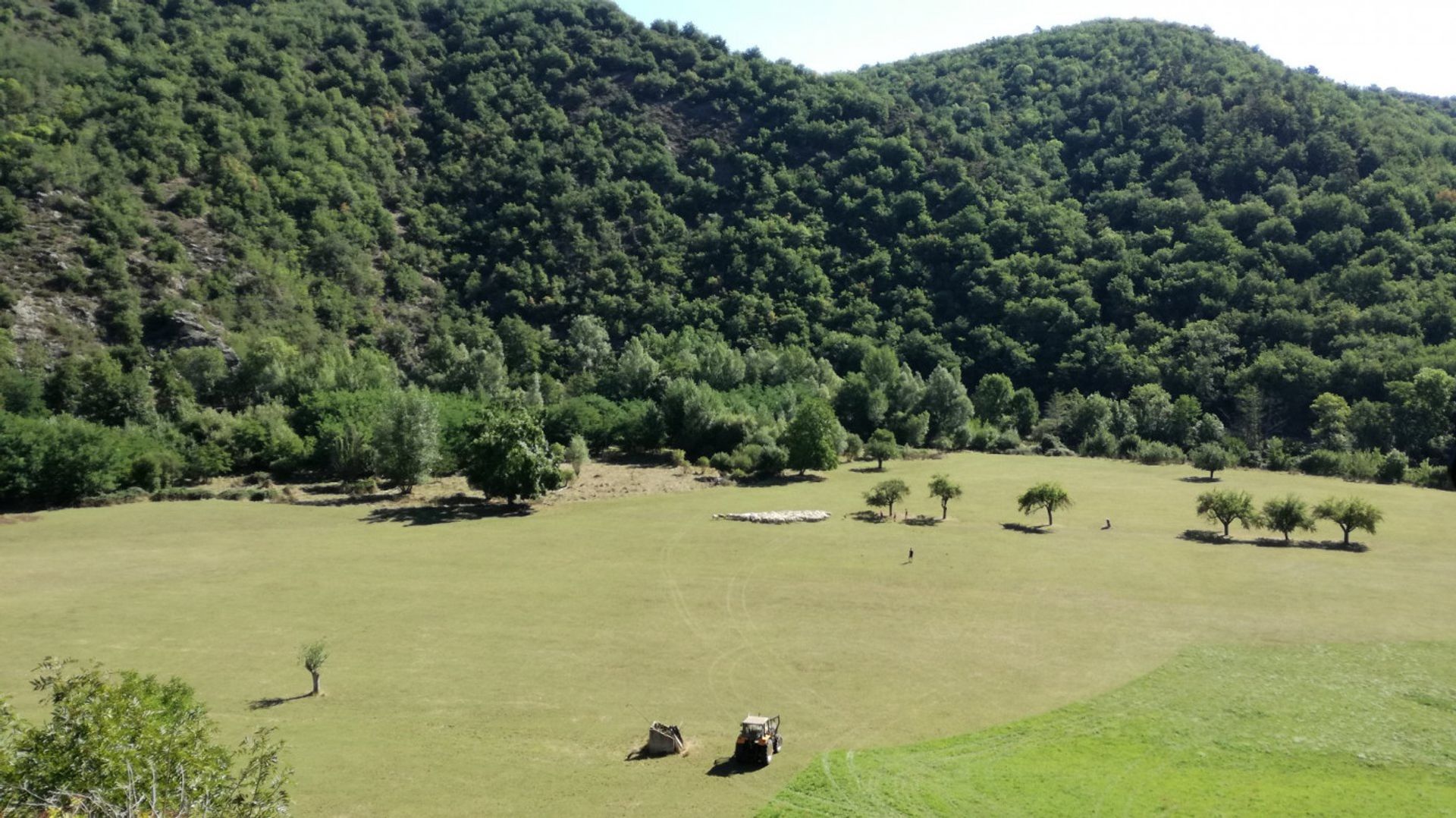 Andere in Blesle, Auvergne-Rhône-Alpes 11140704