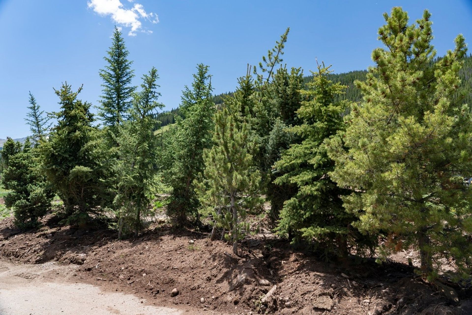 жилой дом в Frisco, Colorado 11142754