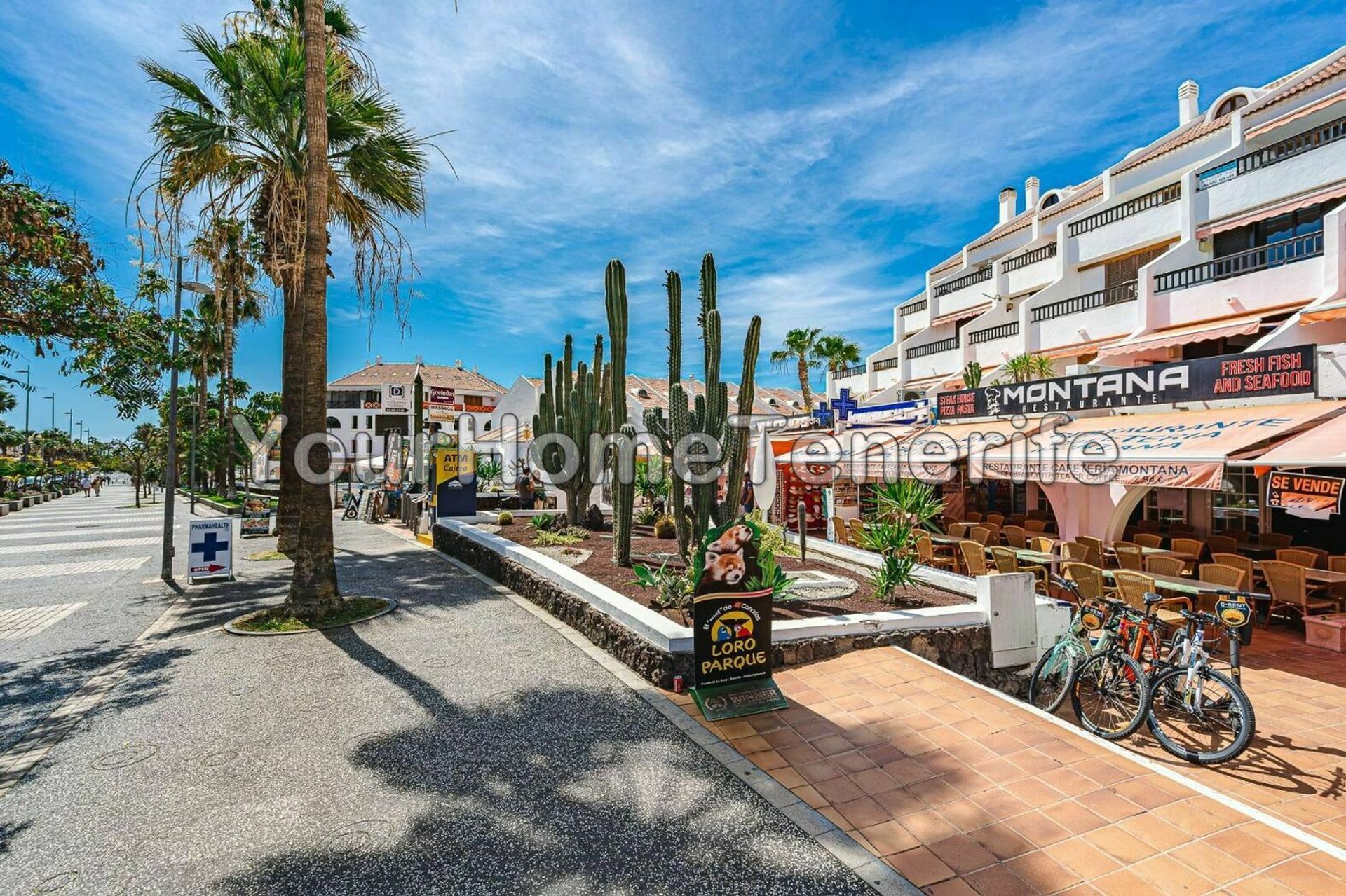 Квартира в Los Cristianos, Canary Islands 11142882