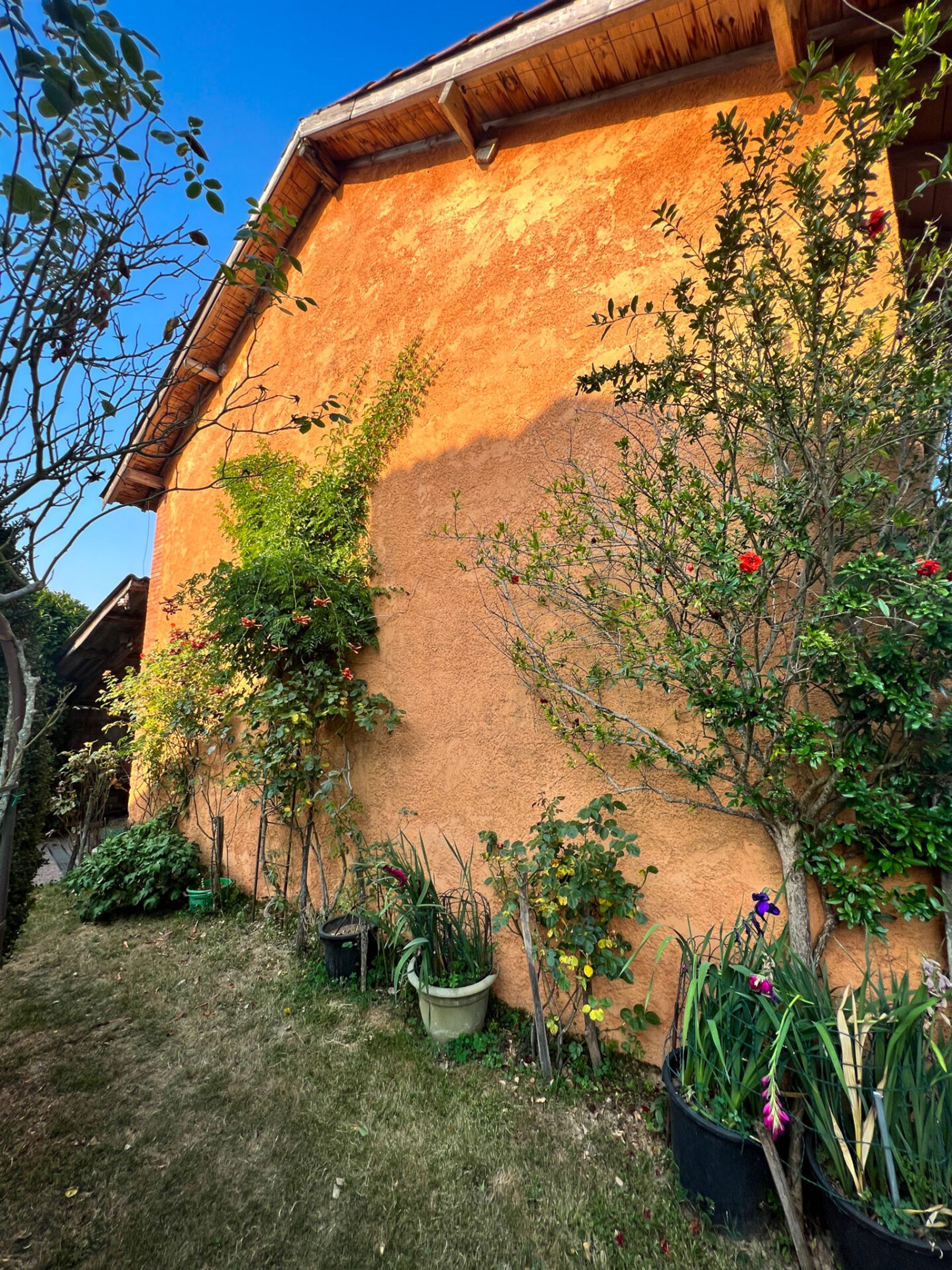 Haus im Miélan, Occitanie 11142999