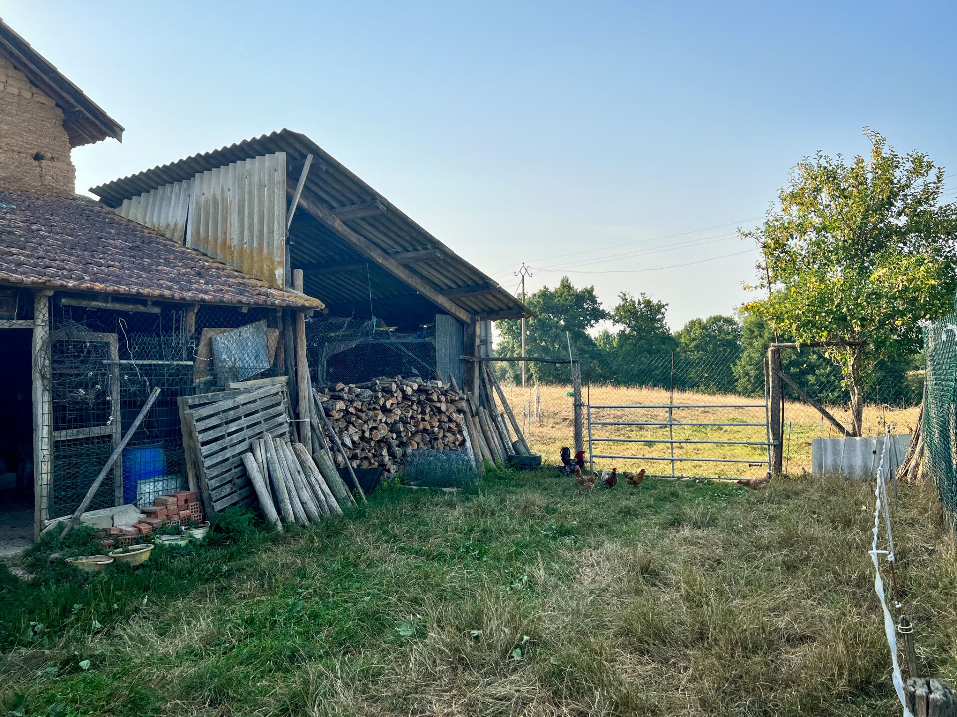 Haus im Miélan, Occitanie 11142999