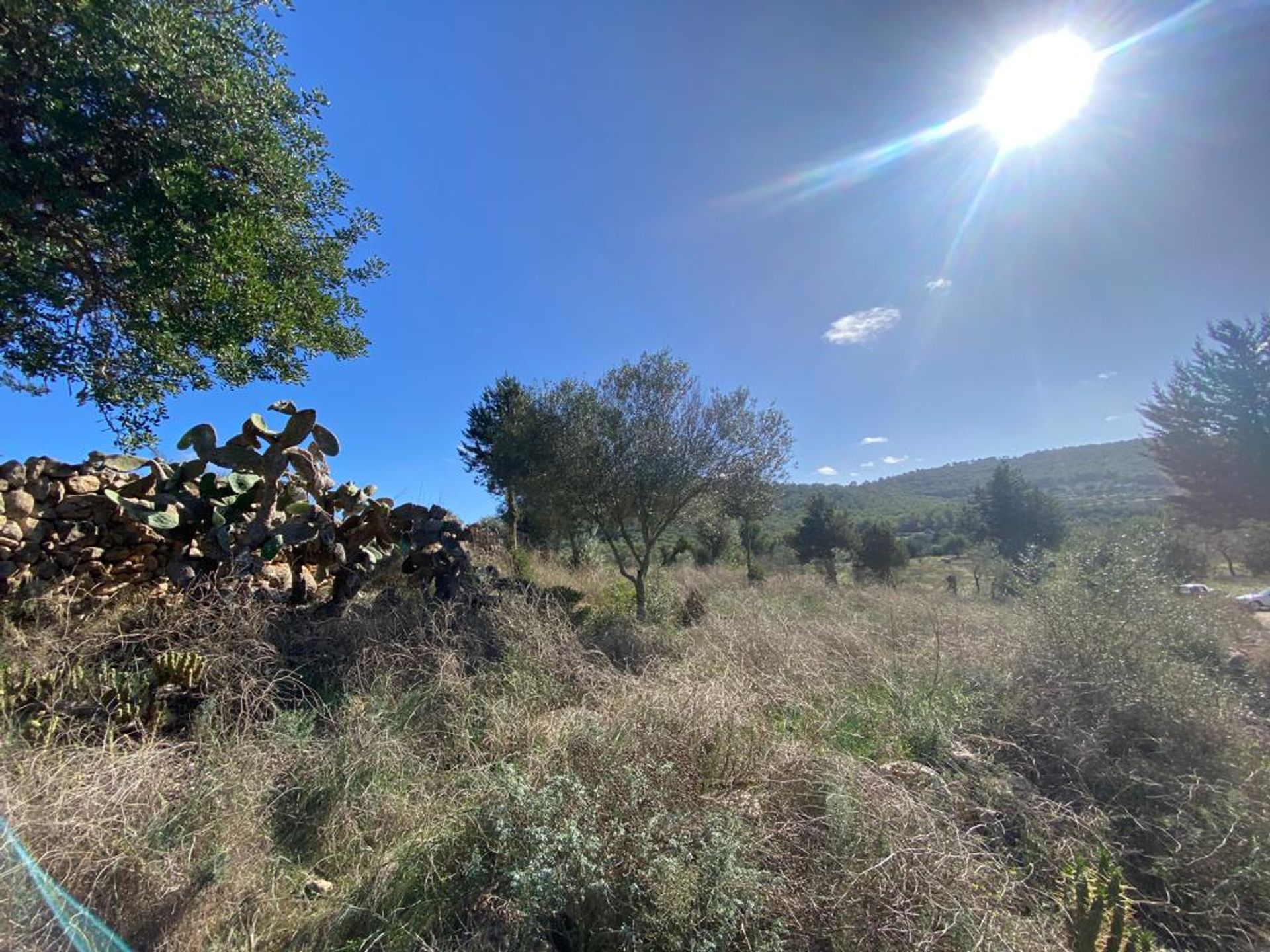 σπίτι σε Σάντα Γερτρούδη, Βαλεαρίδες Νήσοι 11143005