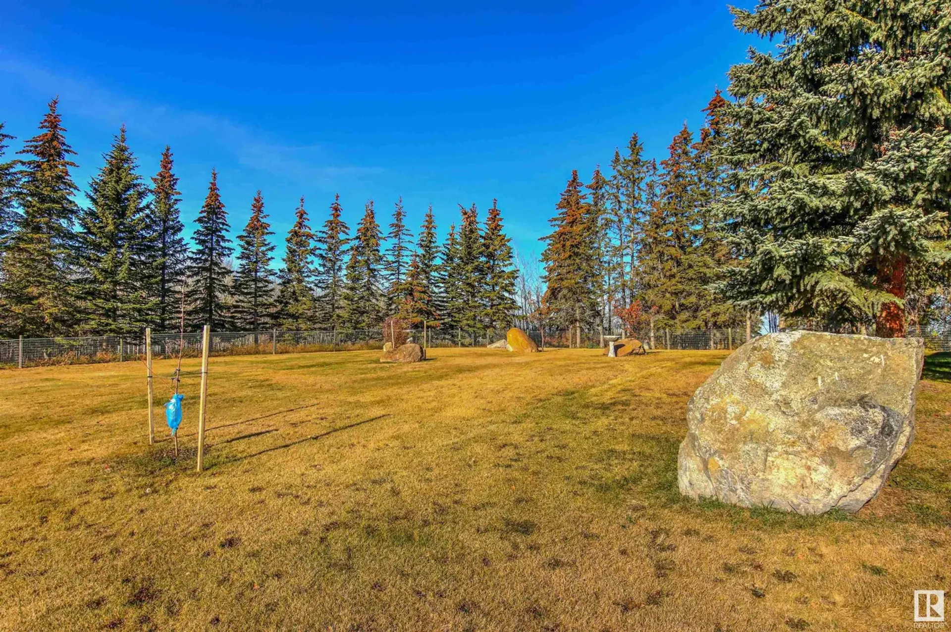 Annen i Duffield, Alberta 11143164