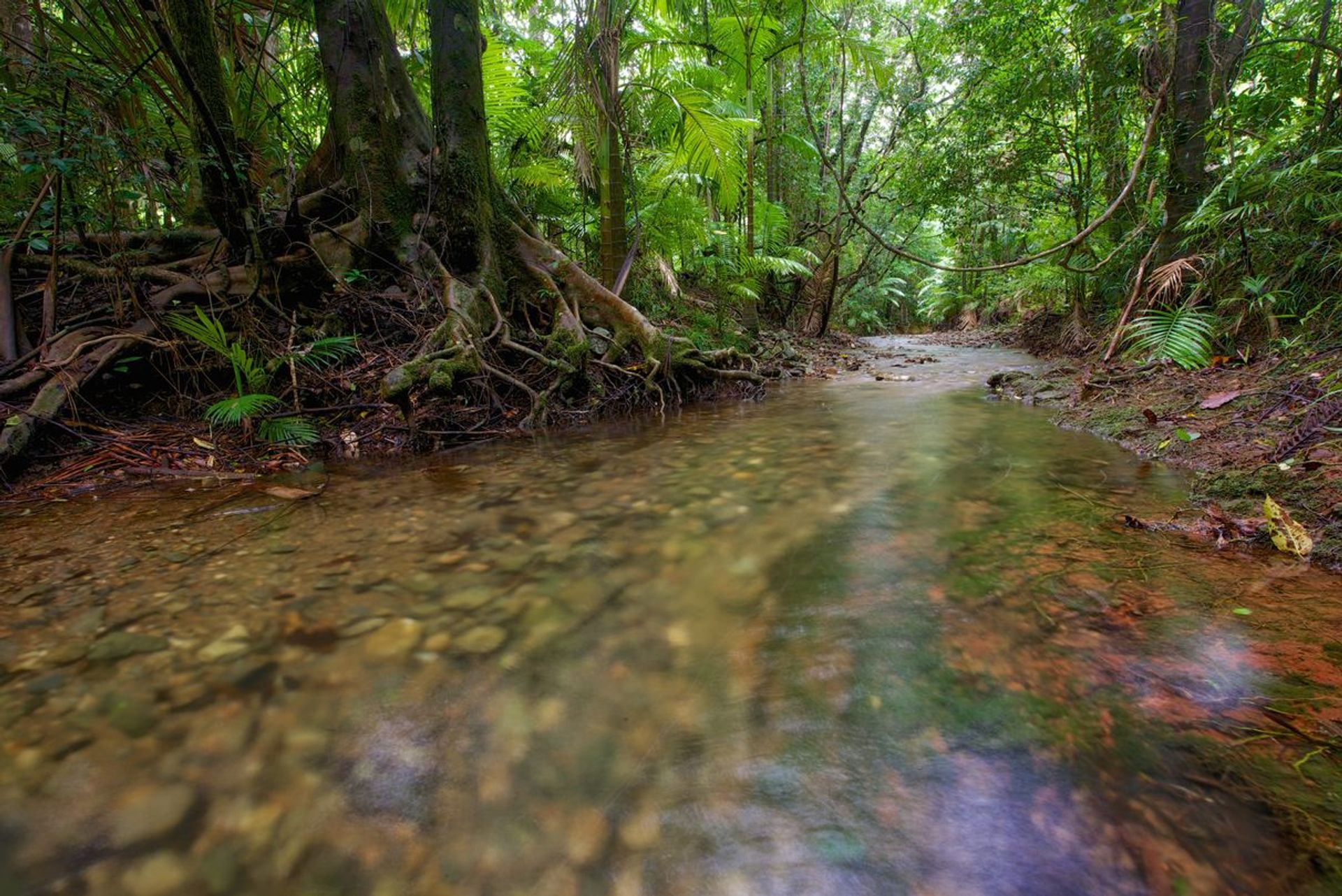 σπίτι σε Diwan, Queensland 11143201