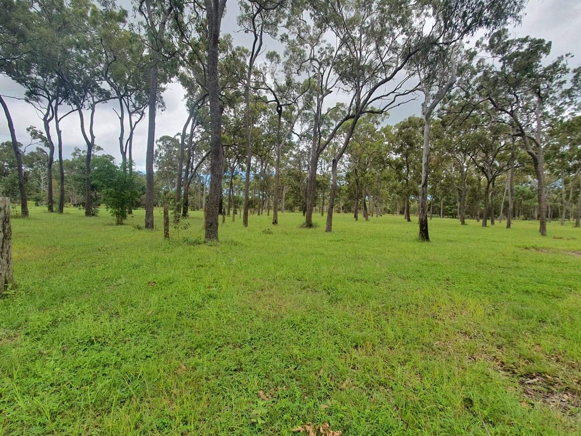 Land im Moore Park, Queensland 11143207