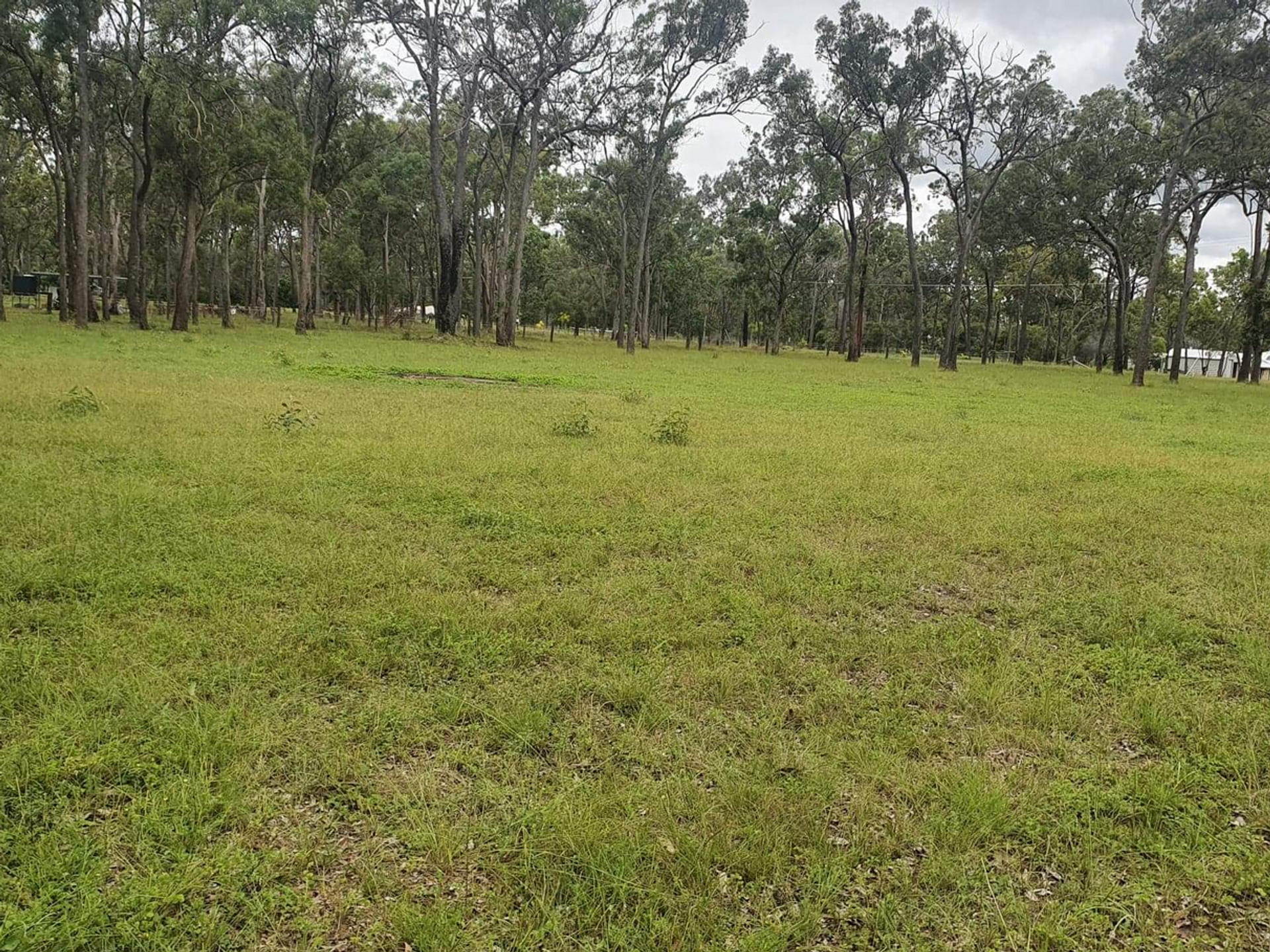 Land i Moore Park, Queensland 11143207