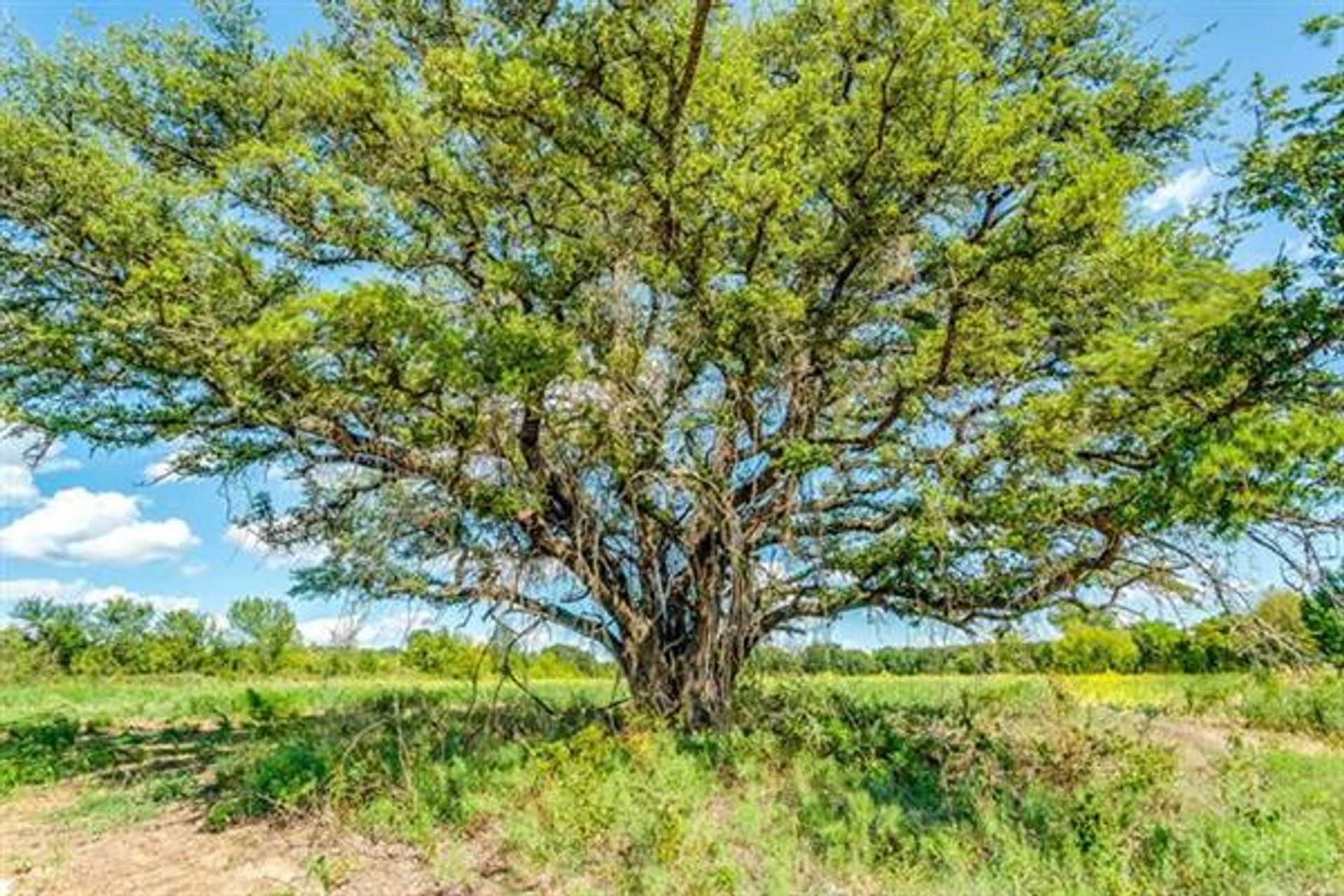 casa en Zorro, Texas 11143998