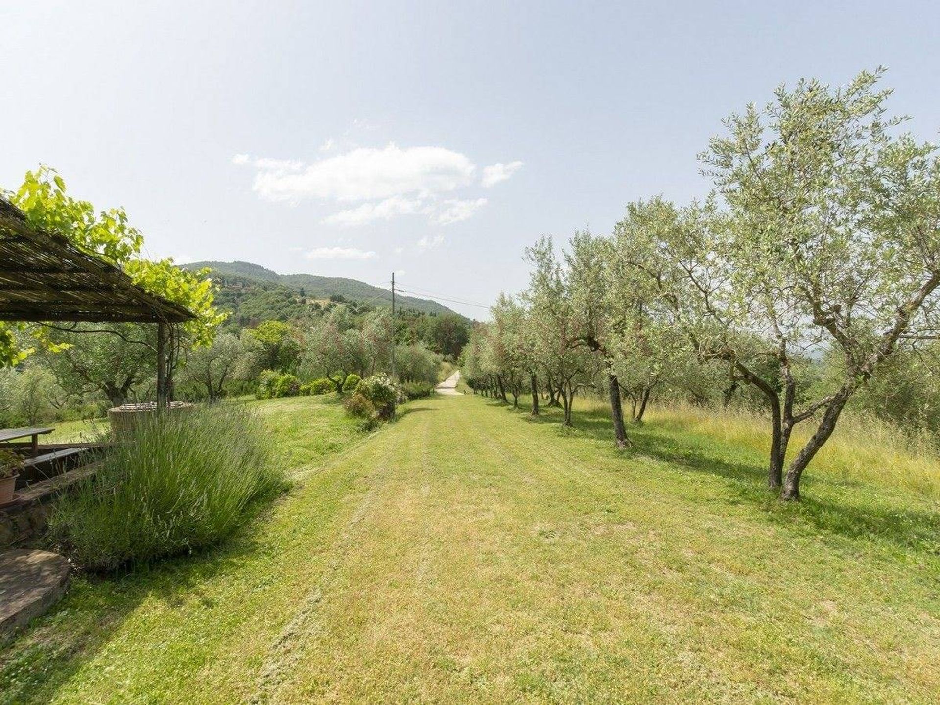 Hus i Figline e Incisa Valdarno, Toscana 11145129