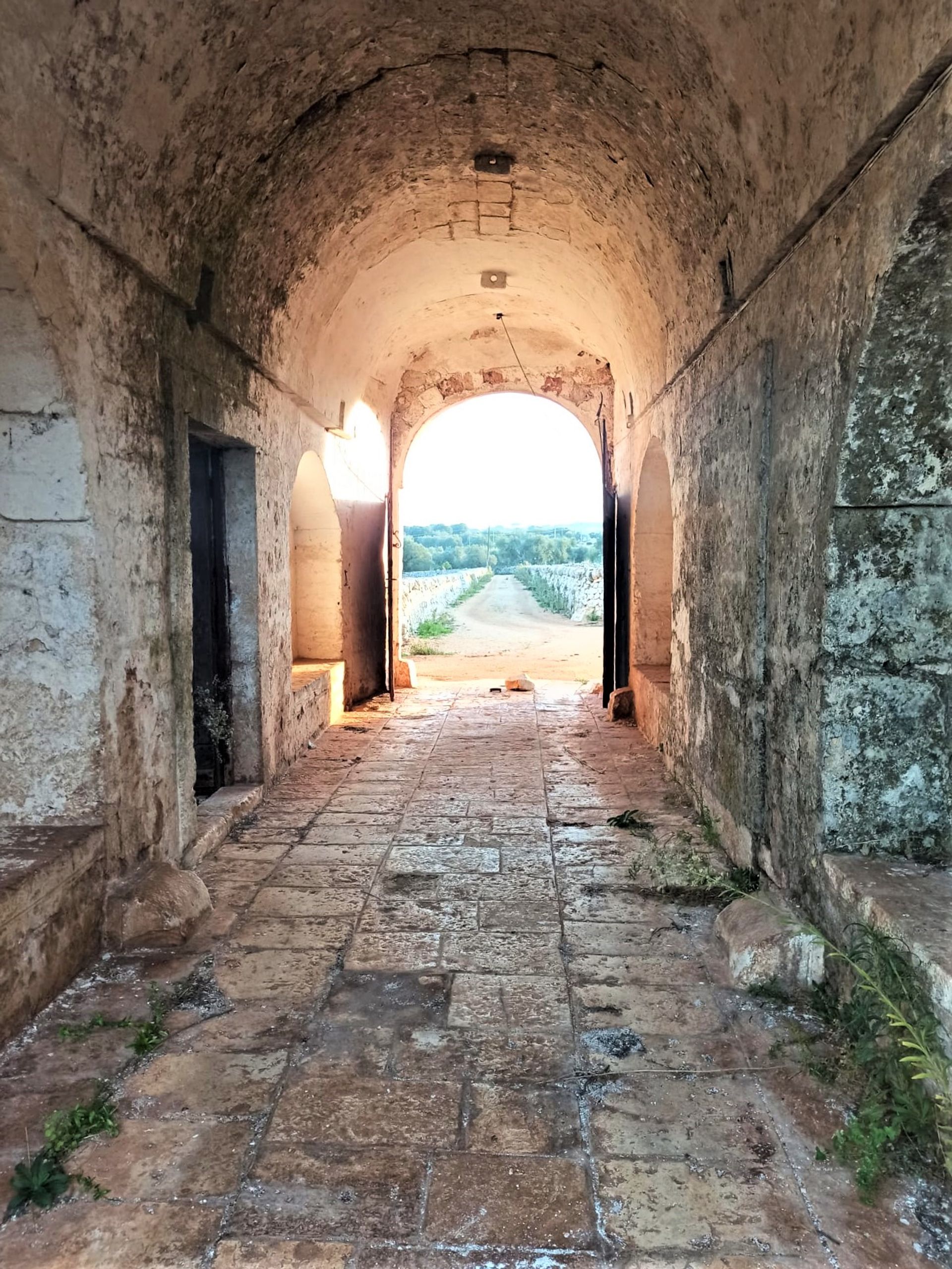 Lain di Polignano a Mare, Apulia 11145589