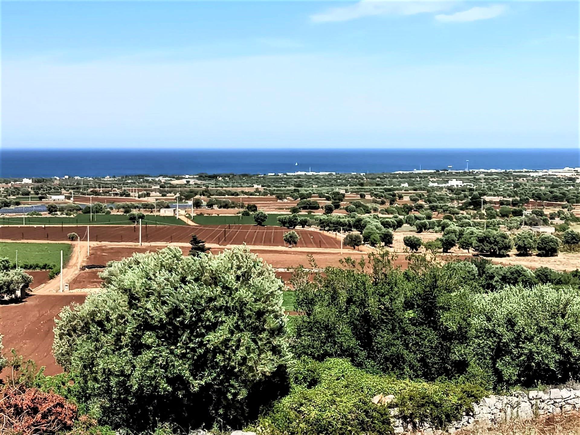 Інший в Polignano a Mare, Apulia 11145590