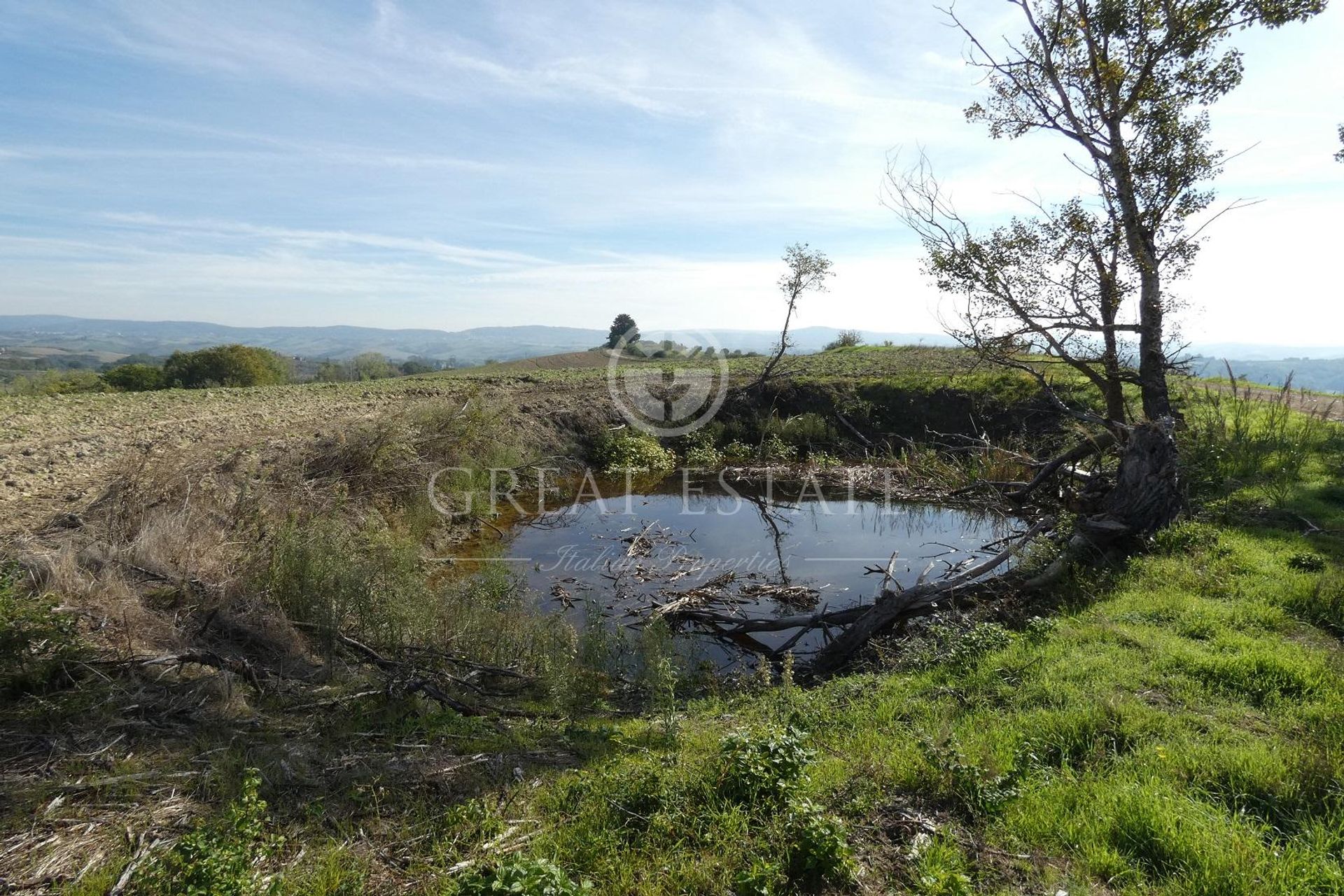 Lain di Asciano, Tuscany 11145614