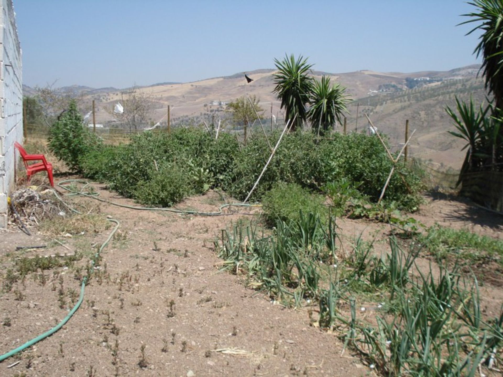 산업 에 Valle de Abdalajís, Andalucía 11146770