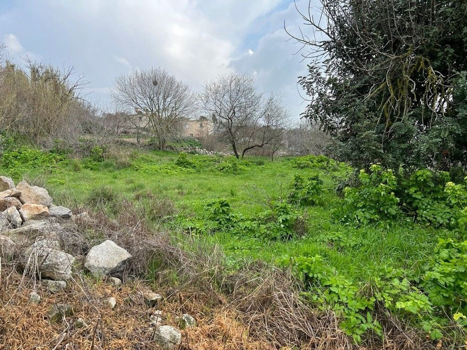 Tanah dalam Pegeia, Pafos 11147433