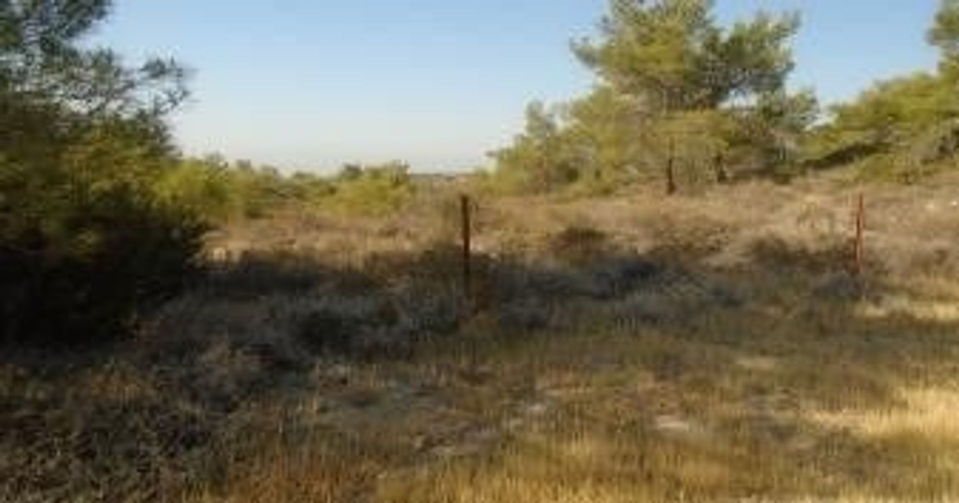 Land i Pampoula, Lemesos 11147437