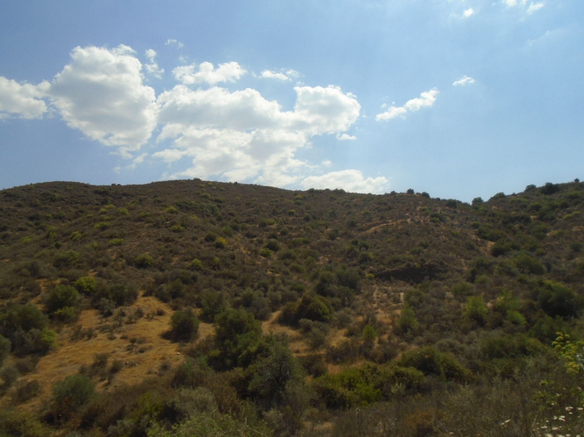 Land i Pyrgos, Larnaka 11147468