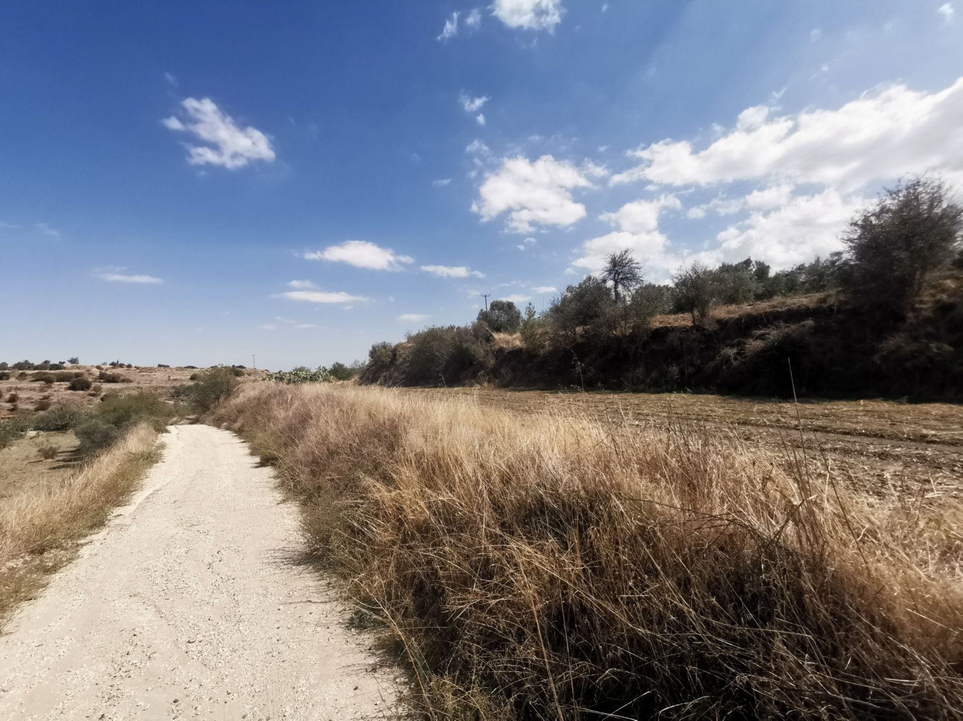 Γη σε Ψιμολόφου, Λευκωσία 11147493