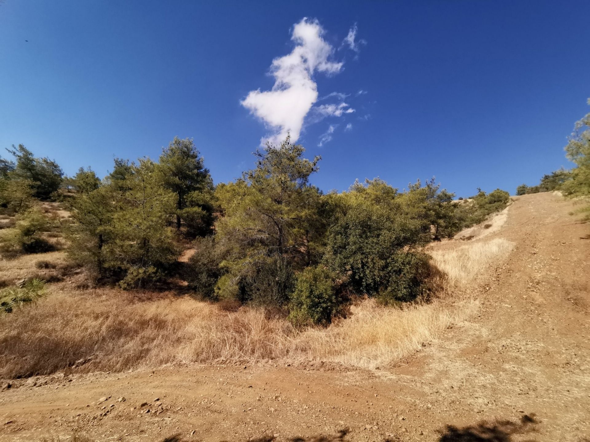 Tanah di Kokkinotrimithia, Lefkosia 11147525