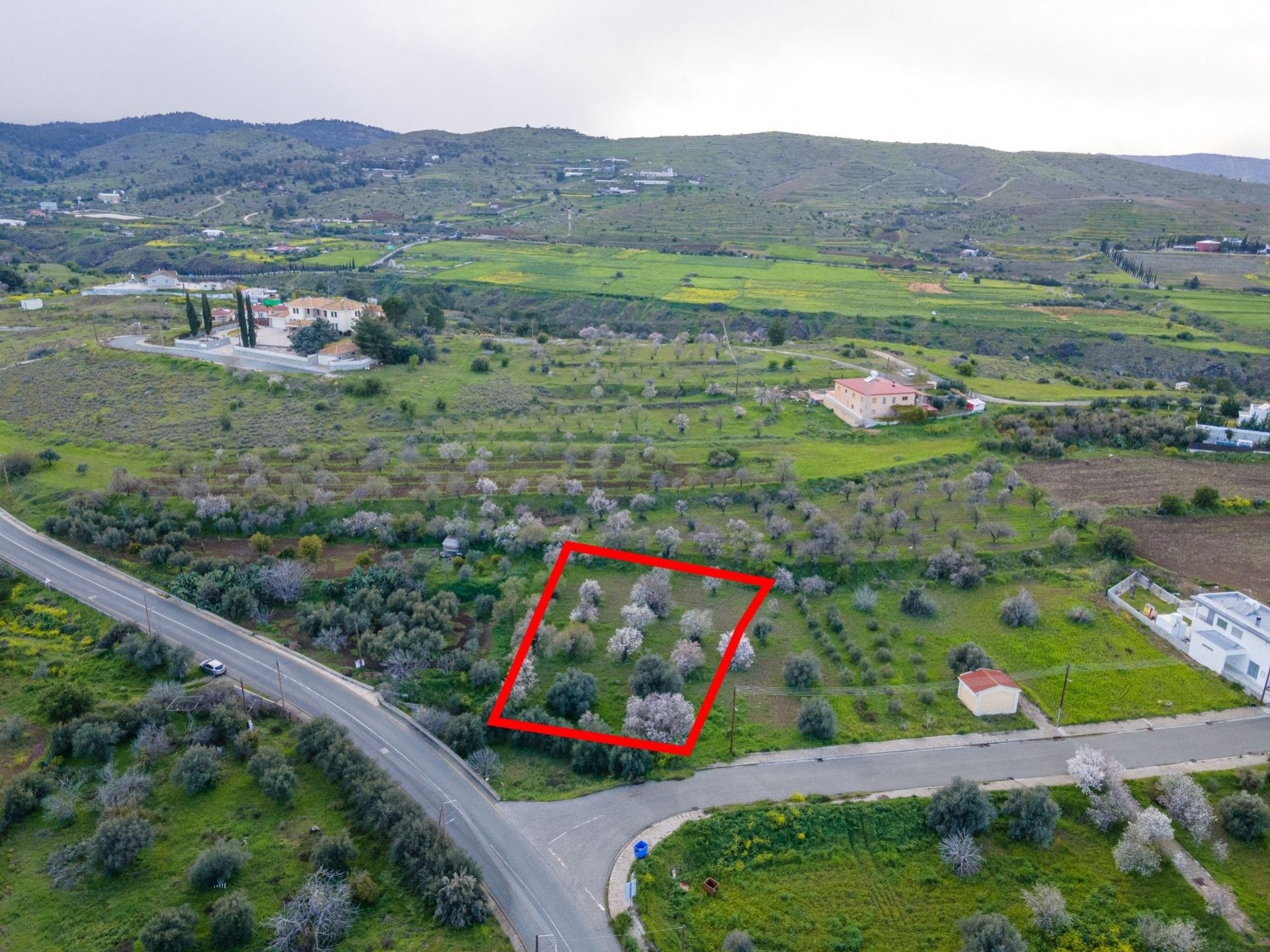 Land in Psimolofou, Lefkosia 11147583