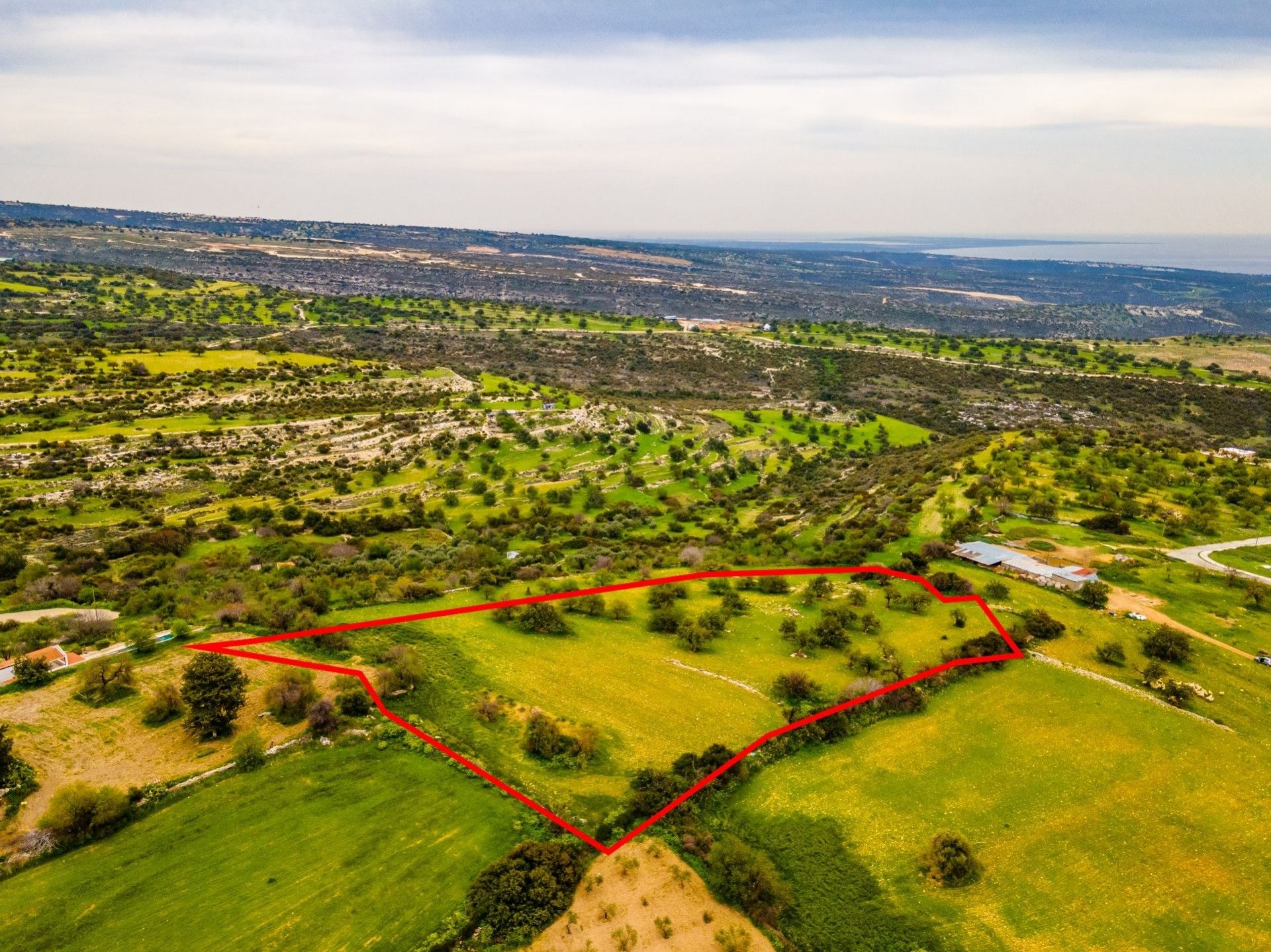 Tierra en pampula, lemesos 11147652