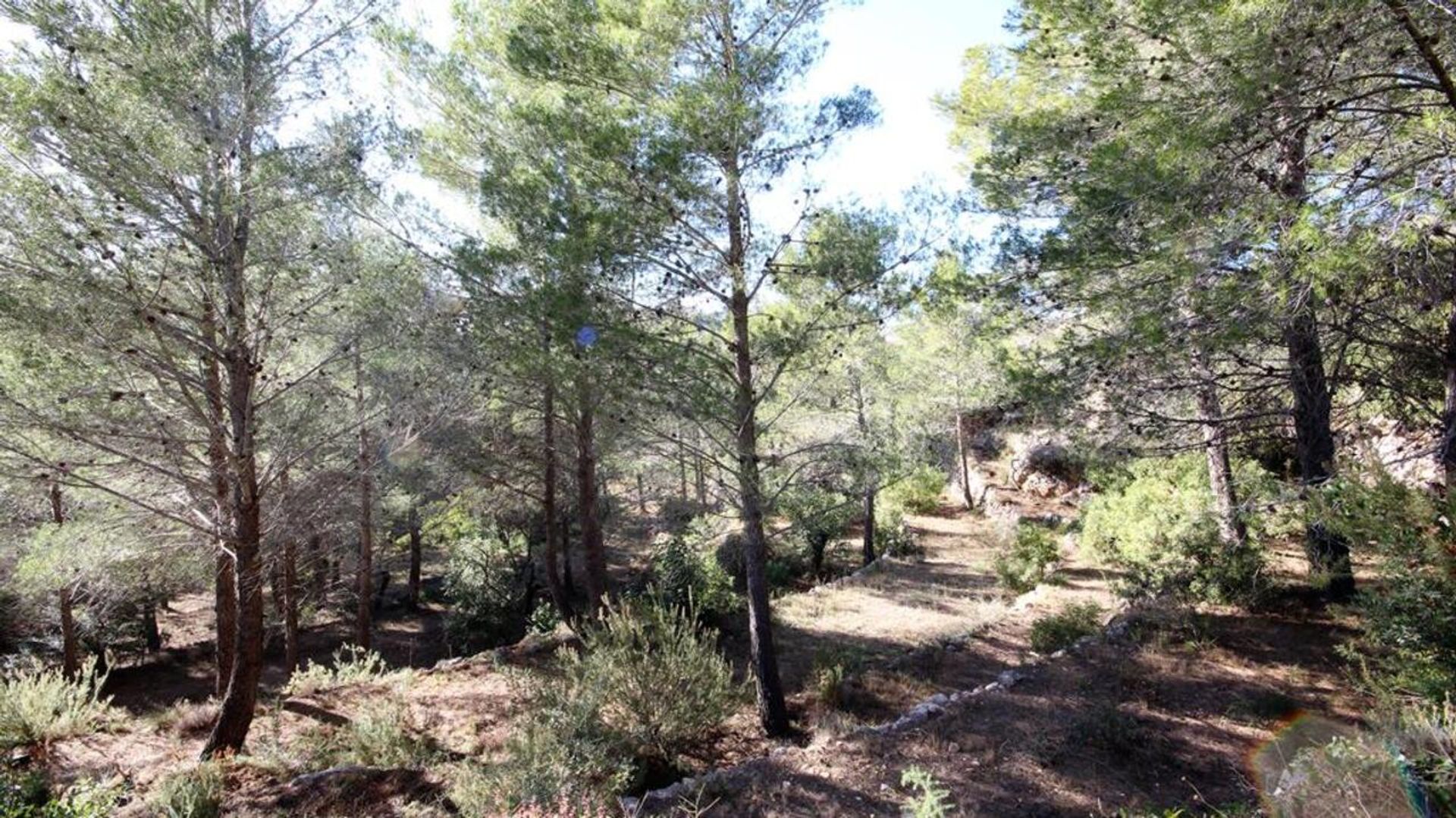 House in Tàrbena, Comunidad Valenciana 11148386