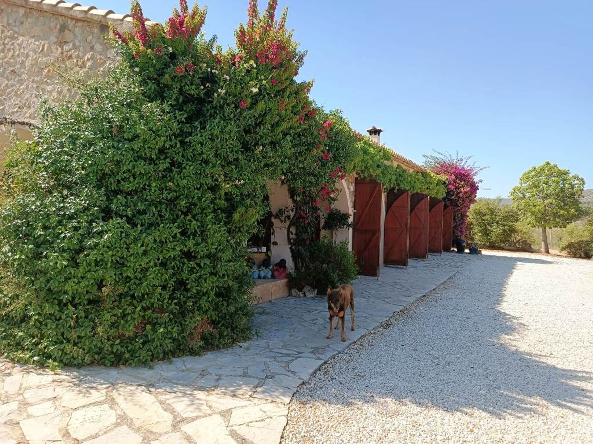 House in Xaló, Comunidad Valenciana 11148398