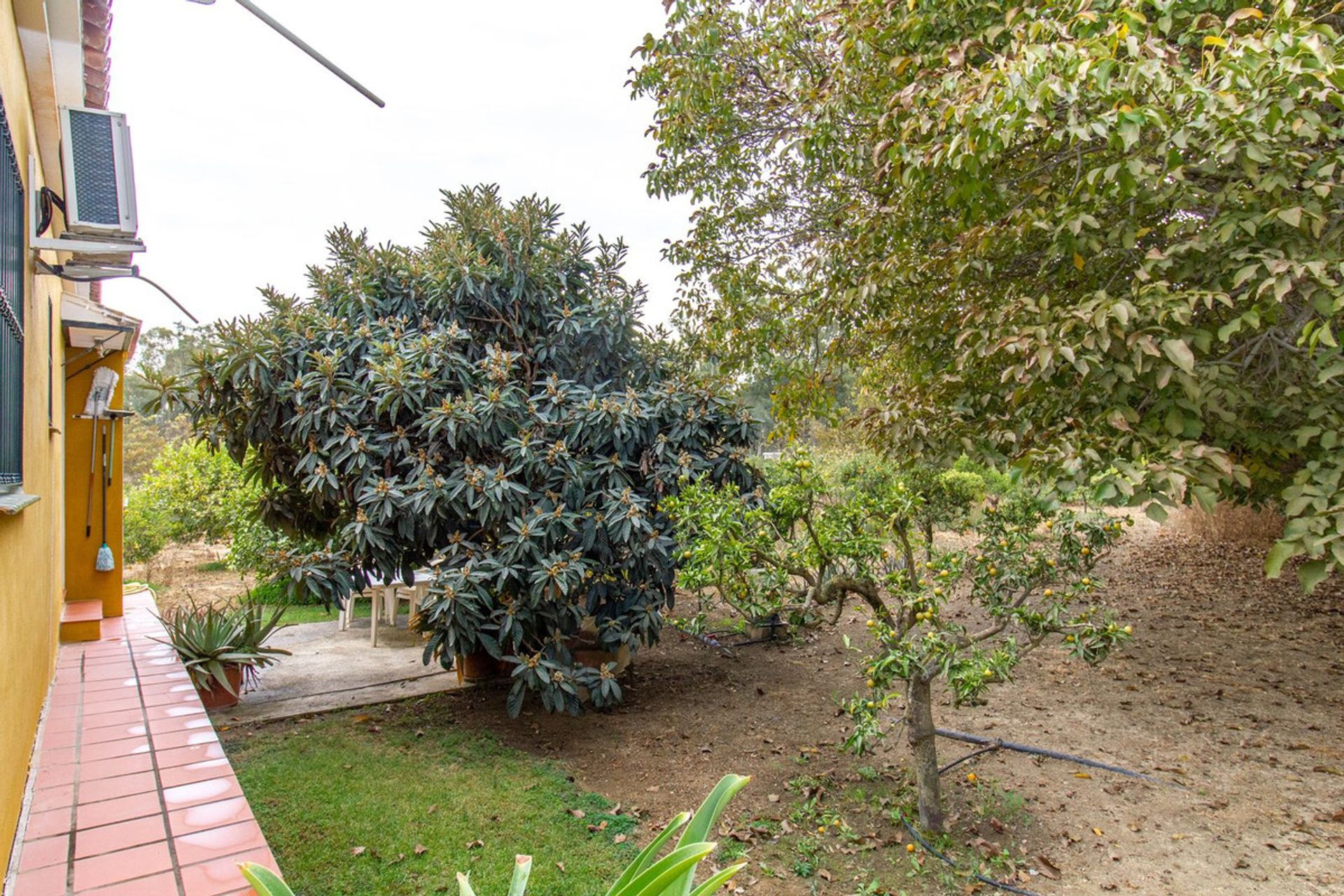 House in Coín, Andalucía 11148536