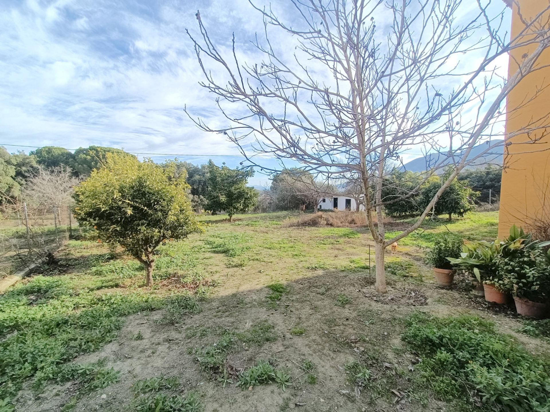 Rumah di Coín, Andalucía 11148973