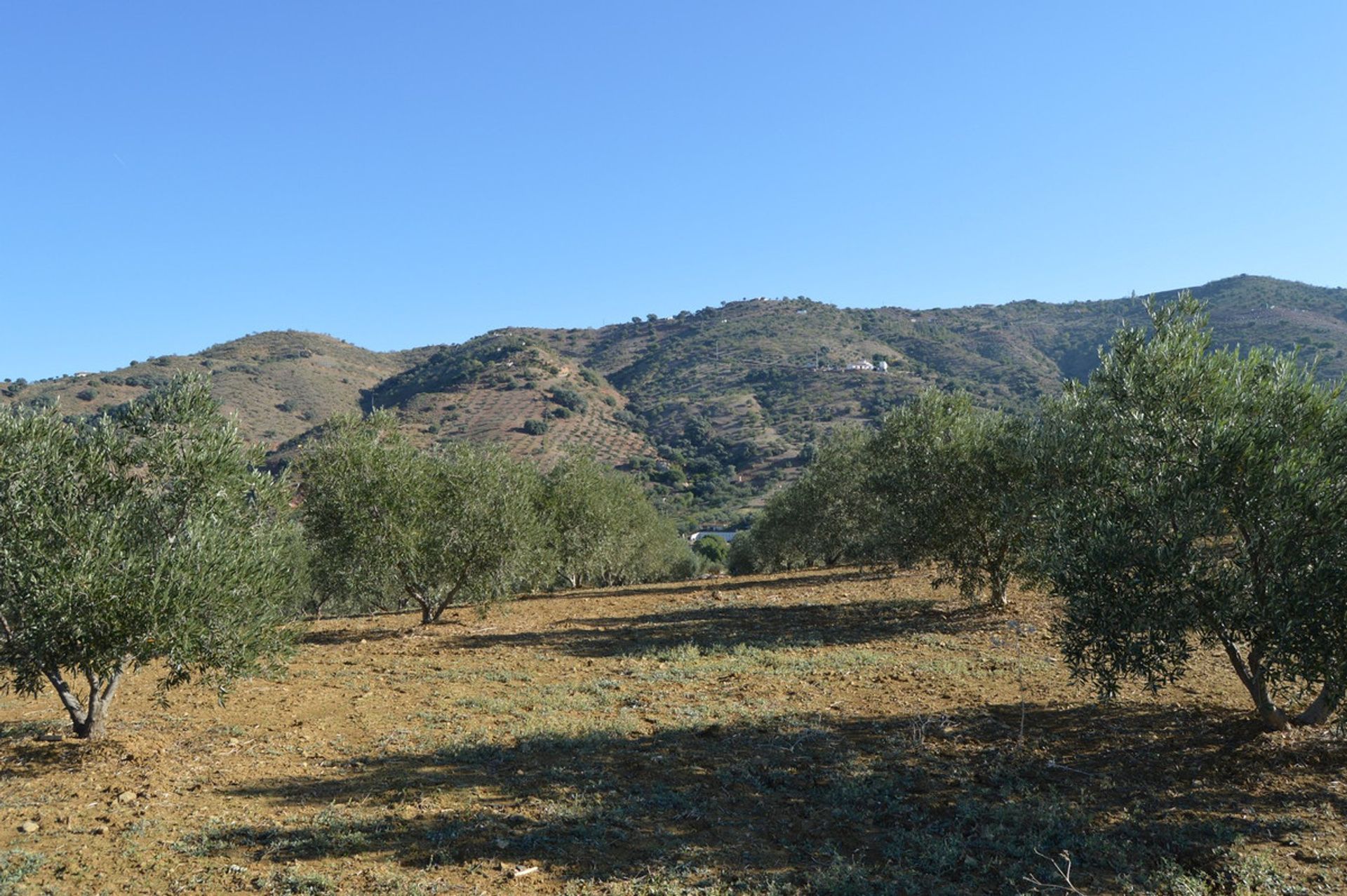 Tierra en , Andalucía 11149068