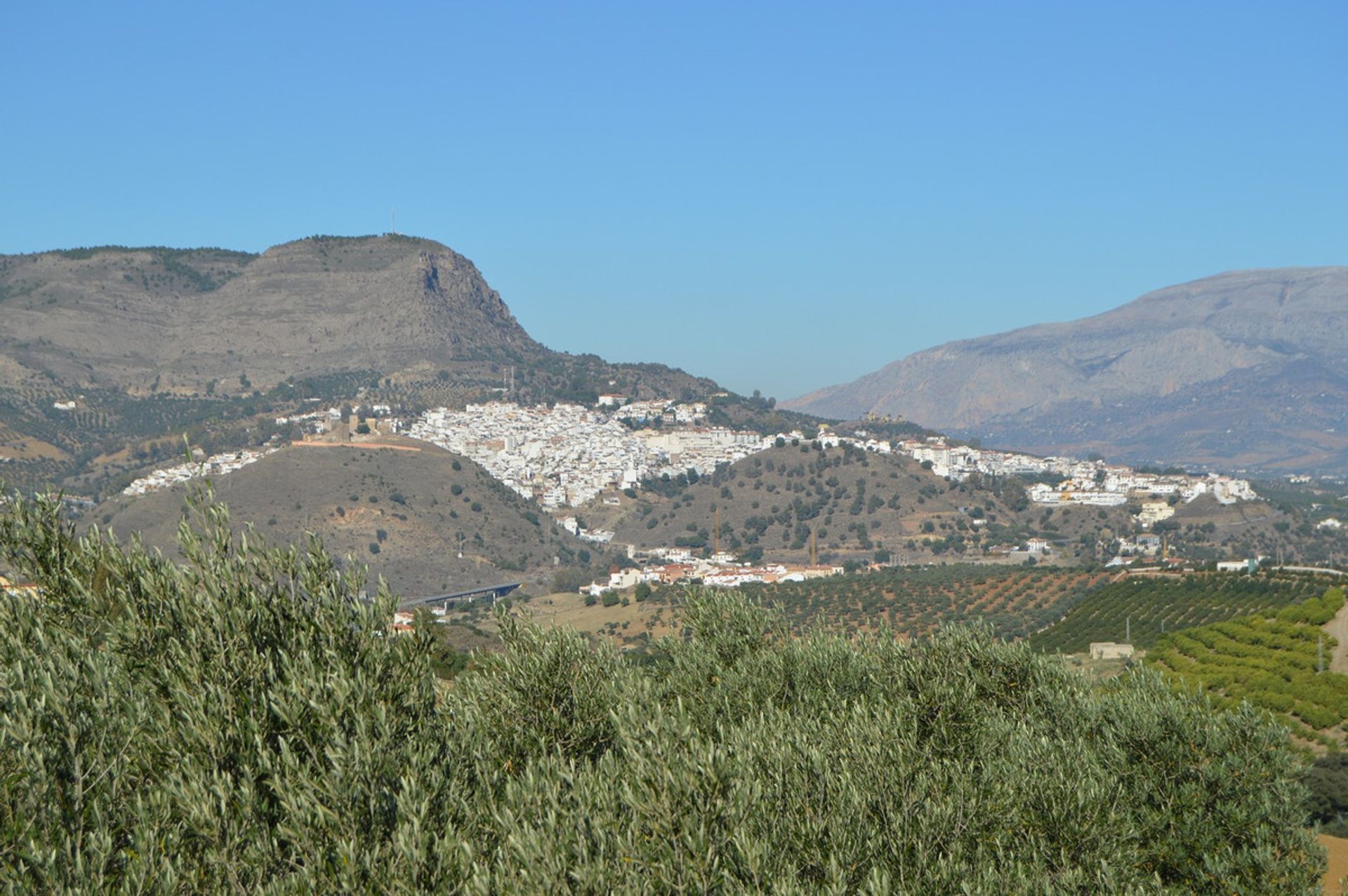 Jord i , Andalucía 11149068