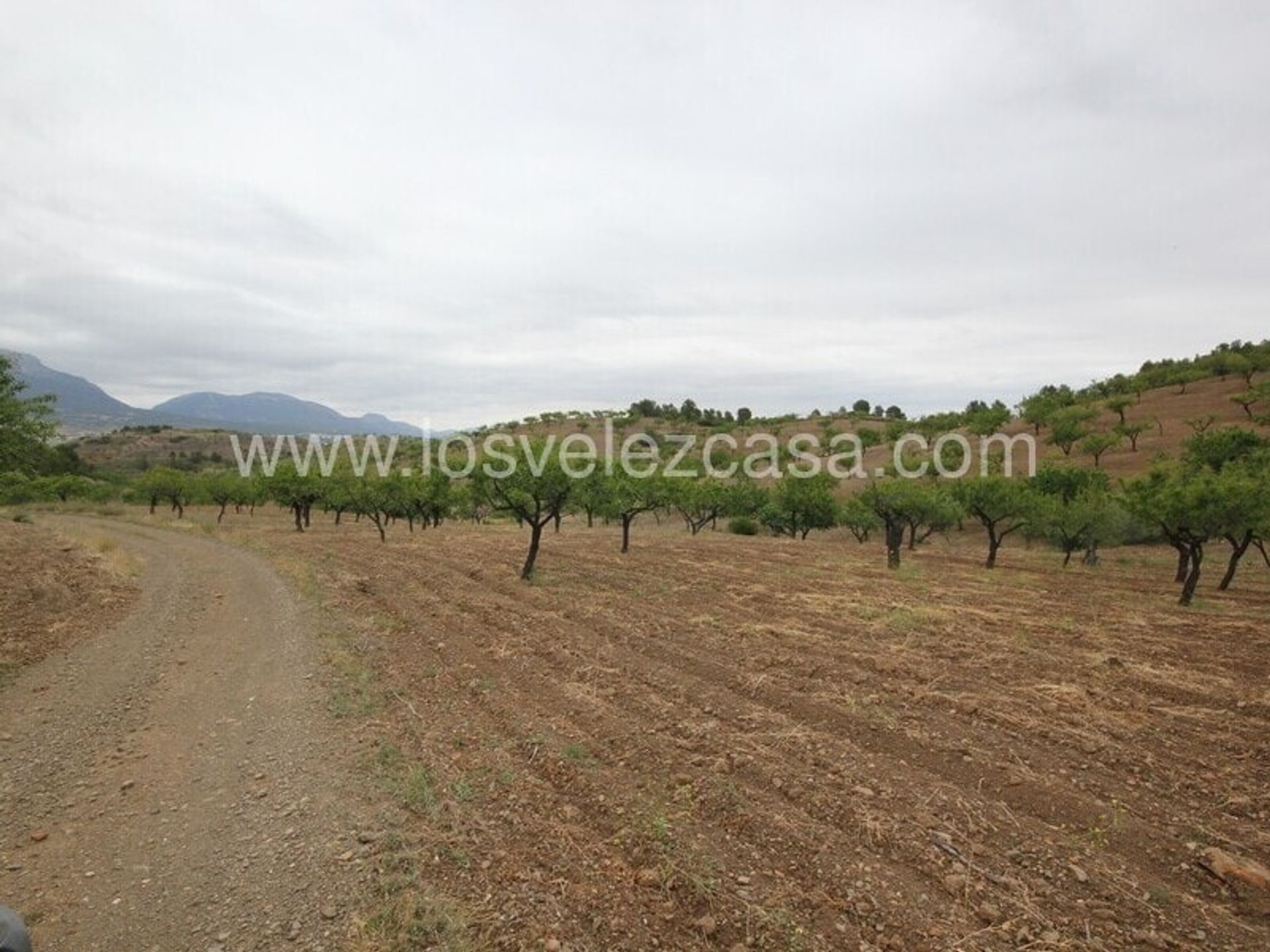 Huis in Velez Rubio, Andalusië 11149143