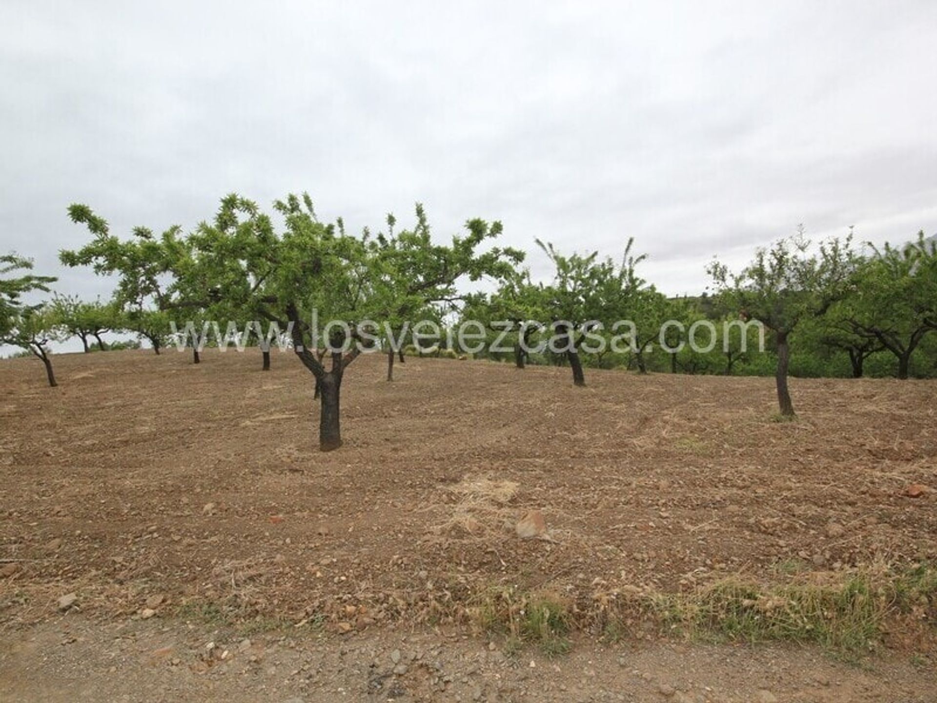 Rumah di Lorca, Región de Murcia 11149143