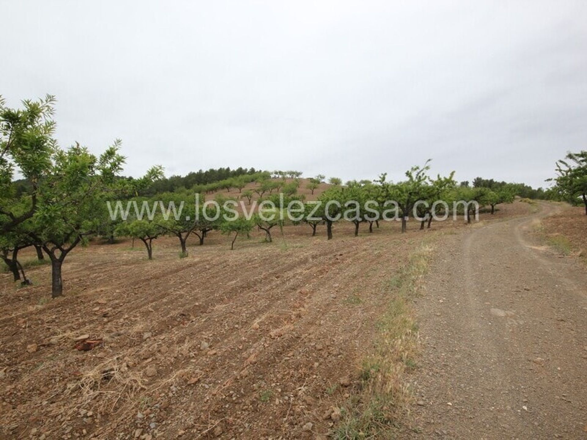 Rumah di Lorca, Región de Murcia 11149143