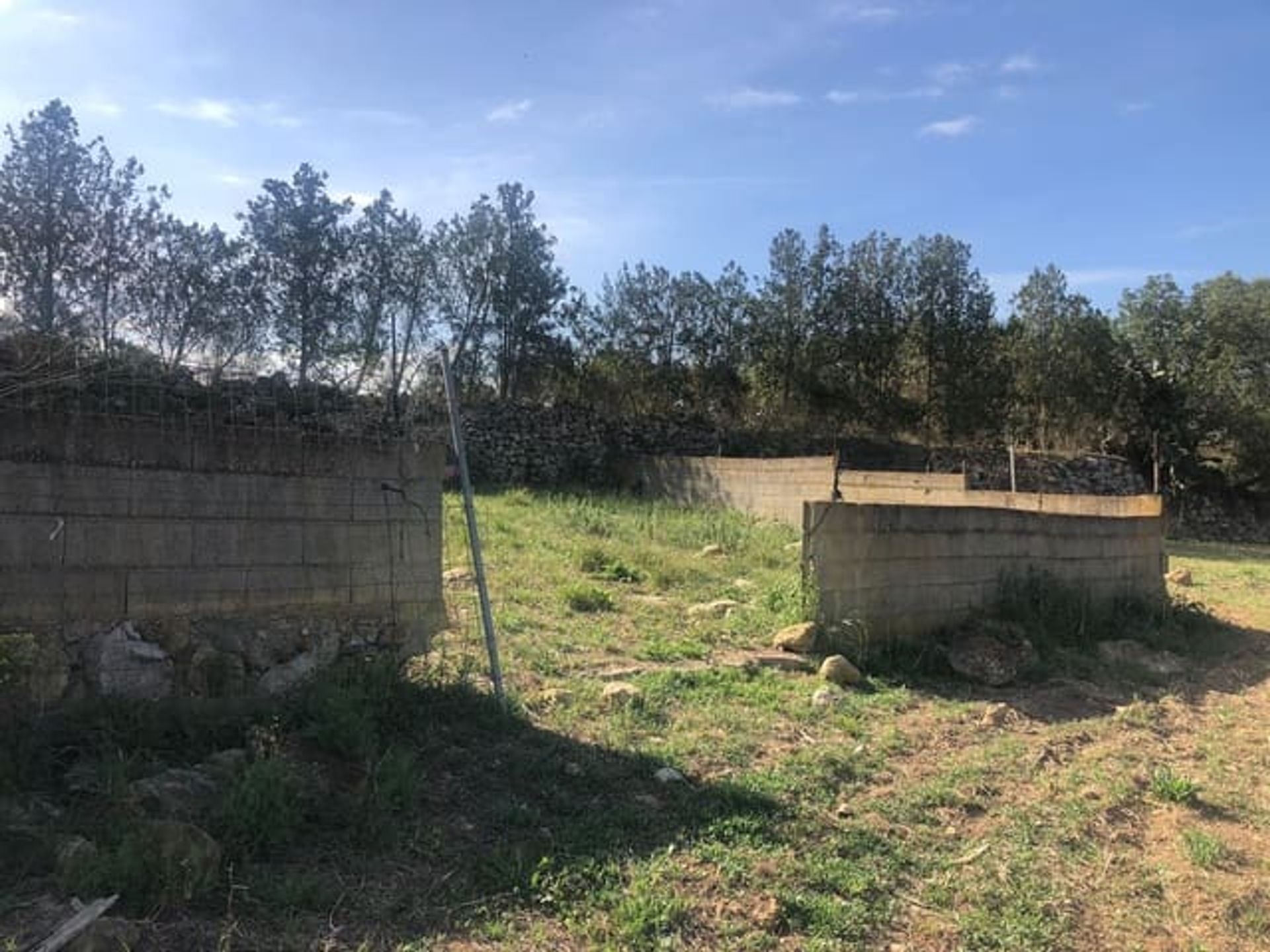 Land in Manacor, Illes Balears 11149209