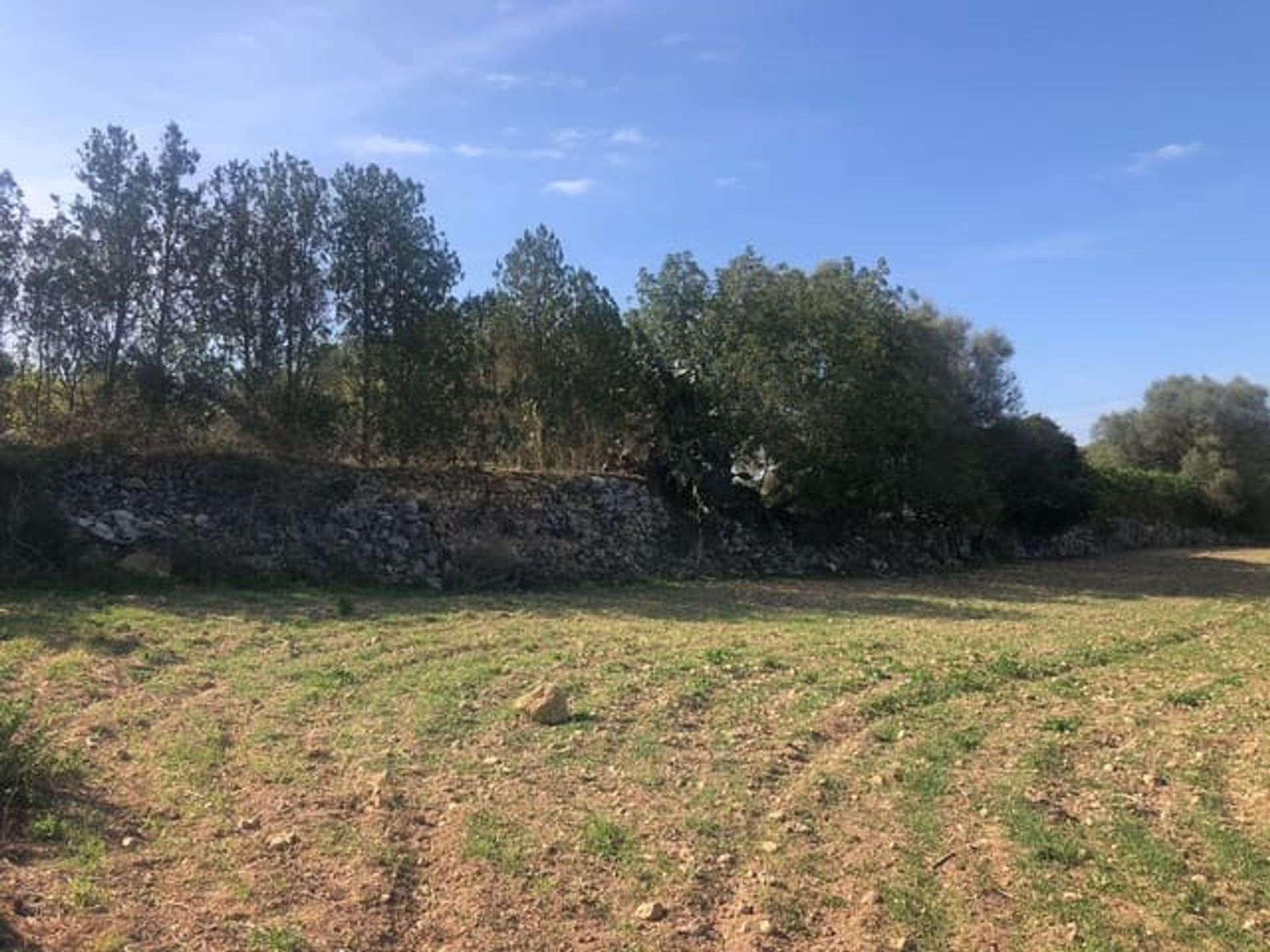 Land in Manacor, Illes Balears 11149209