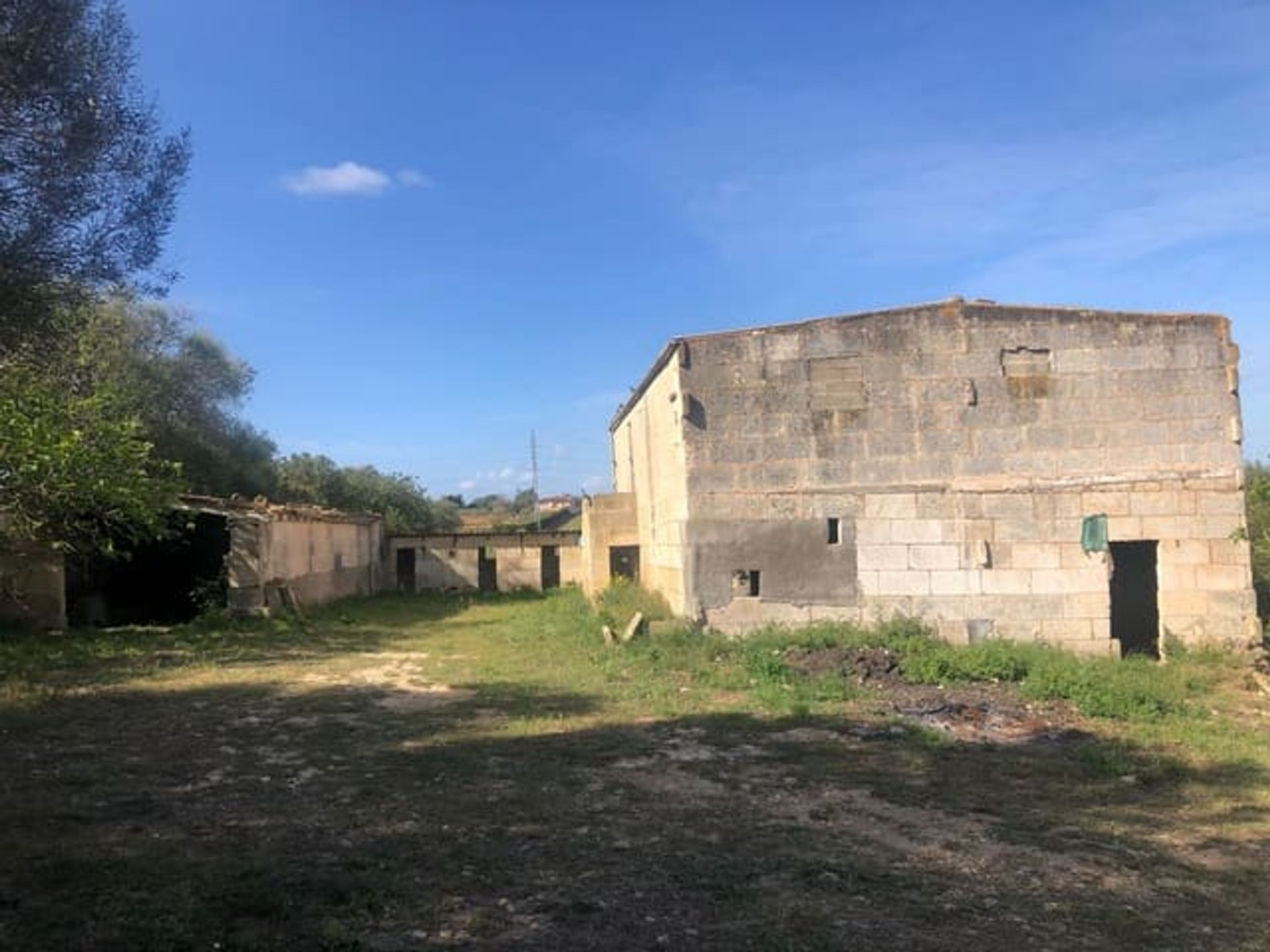 Land in Manacor, Illes Balears 11149209