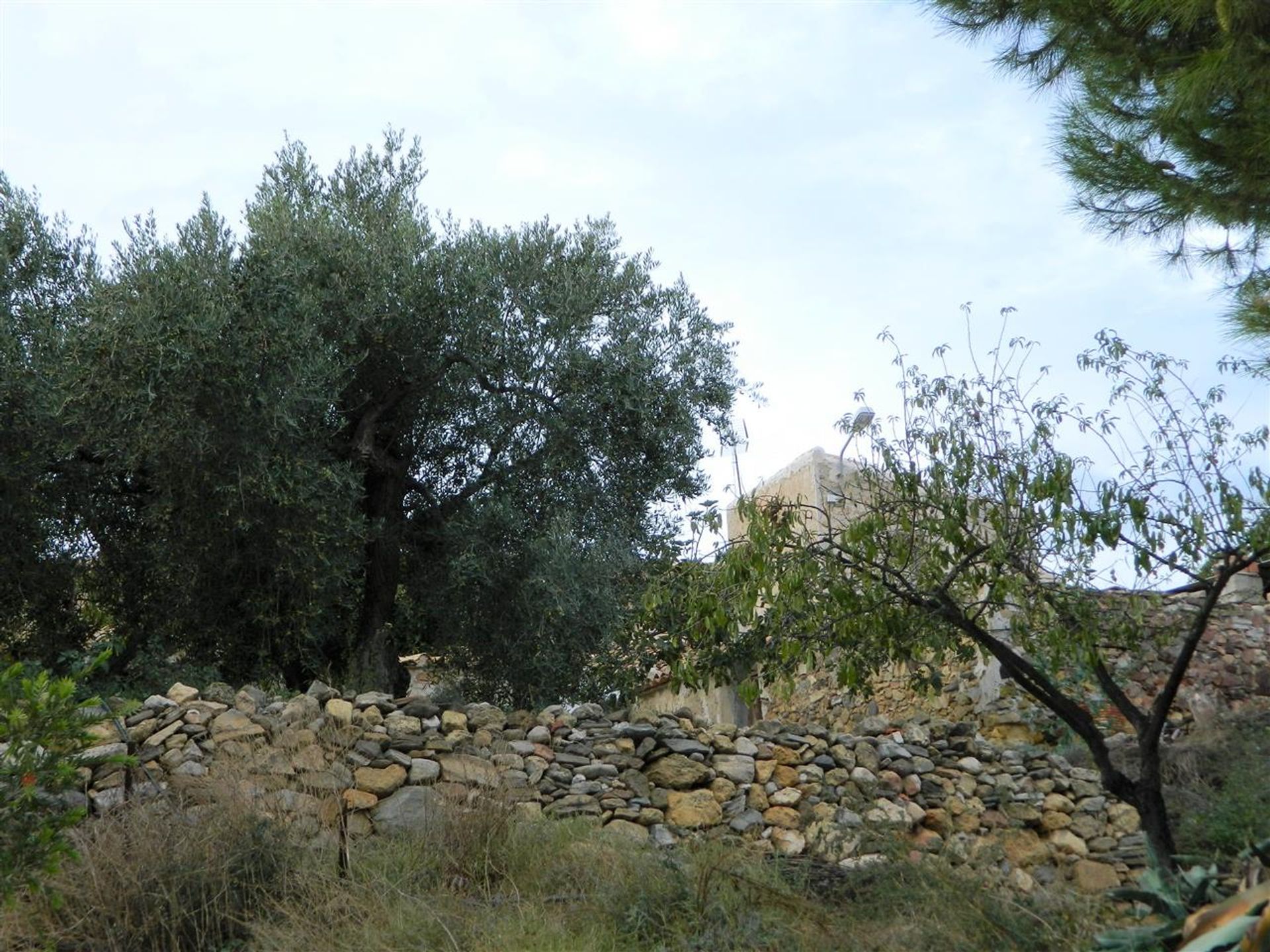 Будинок в Sorbas, Andalucía 11149262