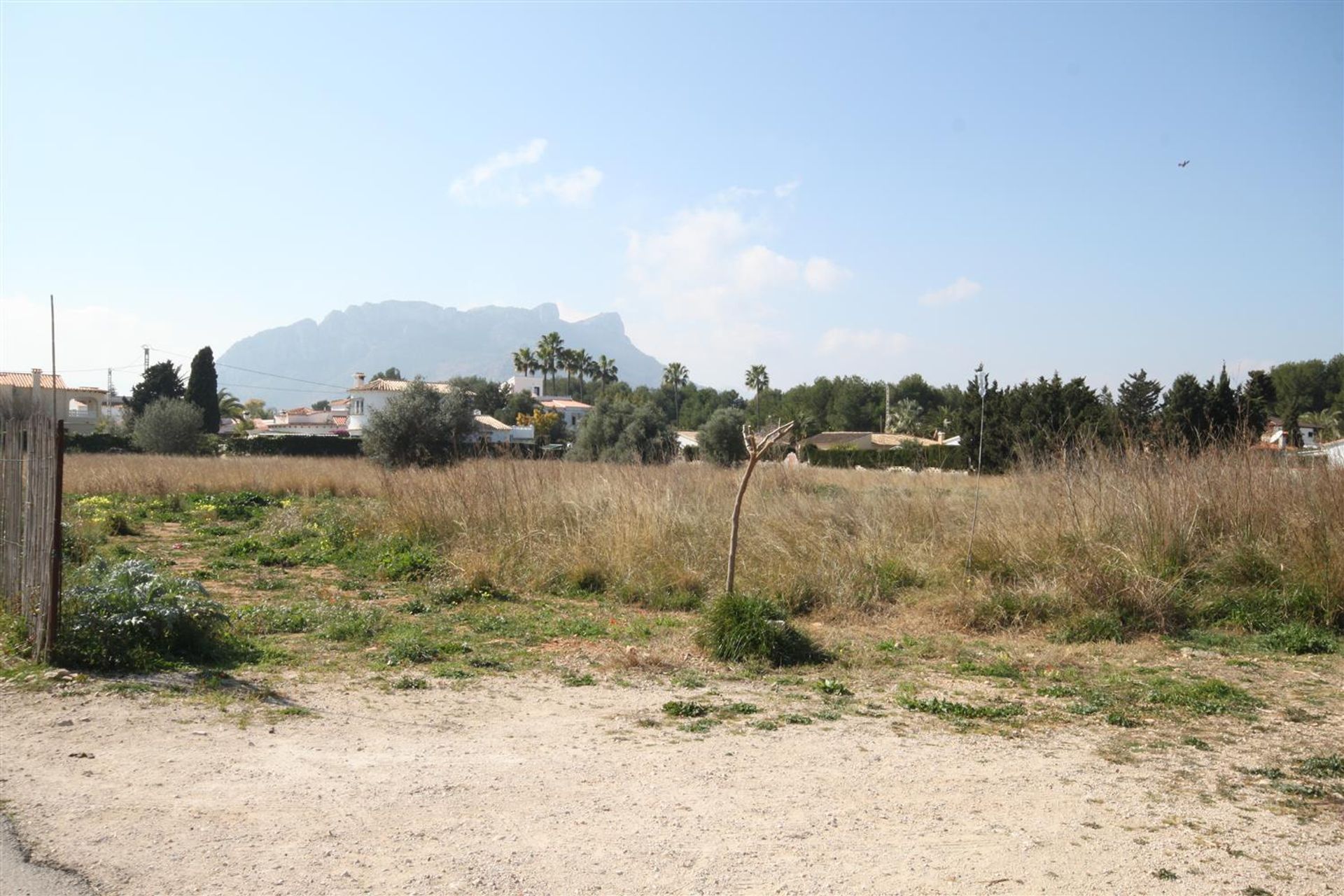 Land in Vergel, Comunidad Valenciana 11149286