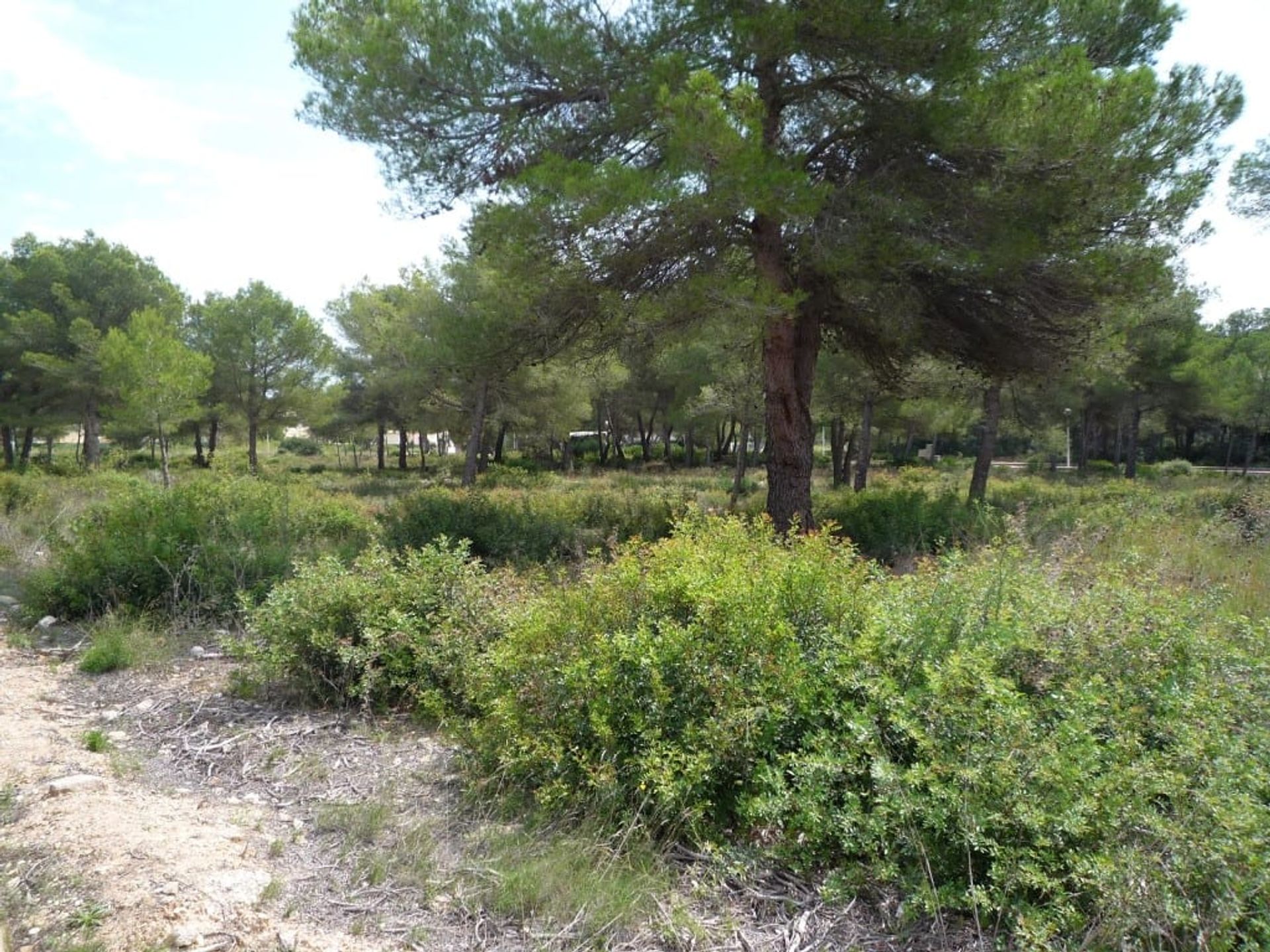 Tanah dalam Jávea, Comunidad Valenciana 11149562