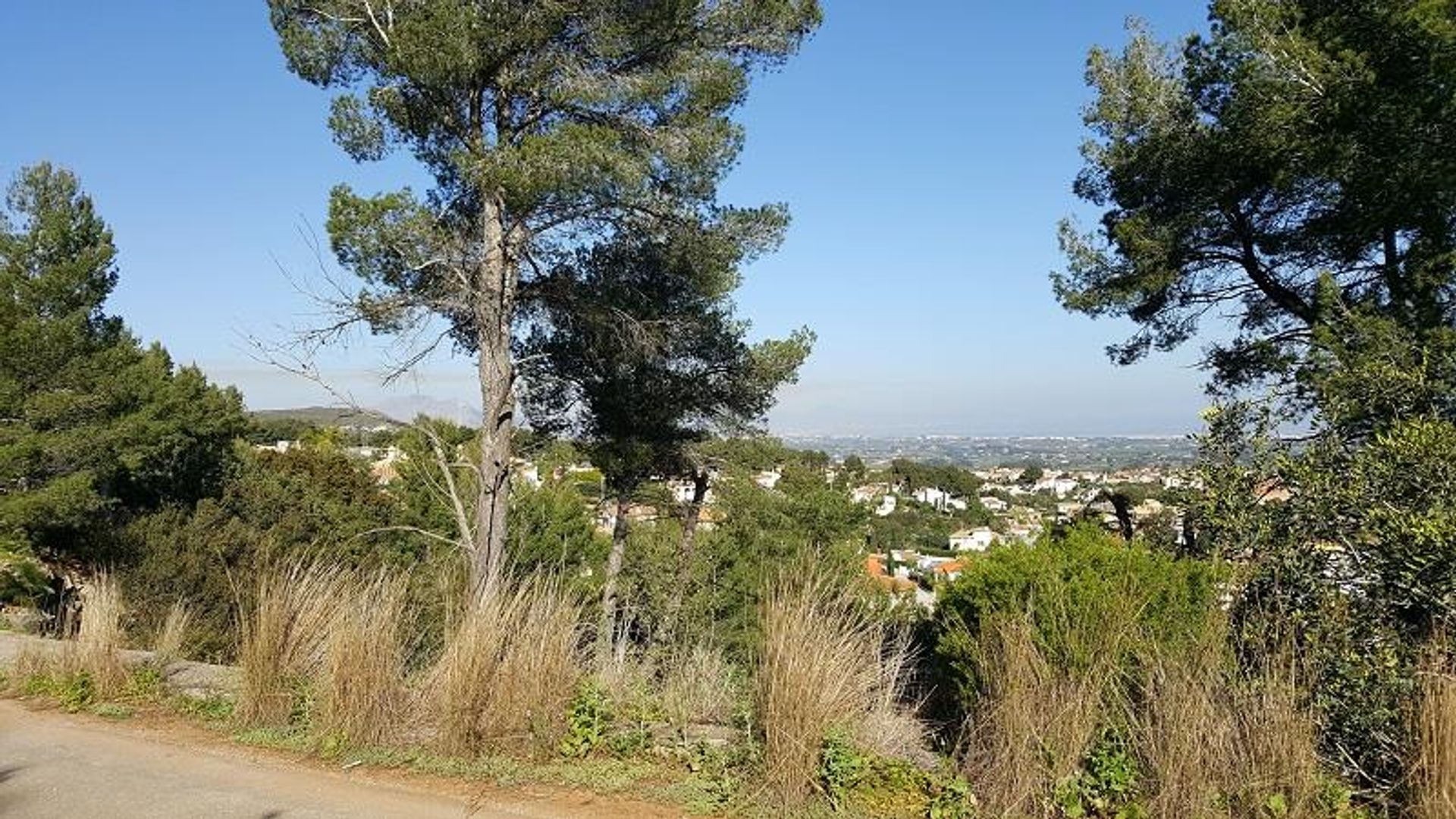 Land in Denia, Valencia 11149710