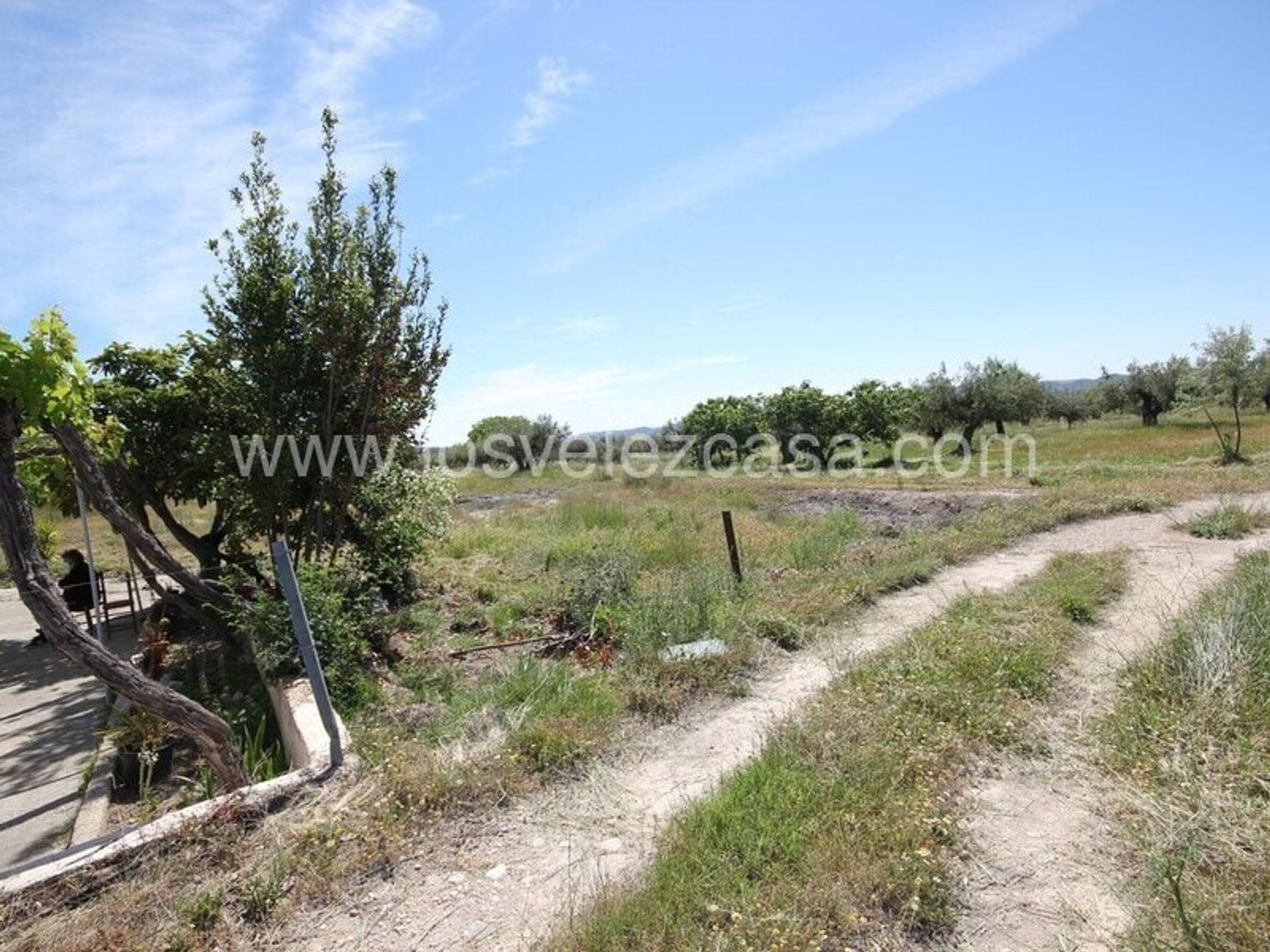 Hus i Vélez-Blanco, Andalucía 11149813