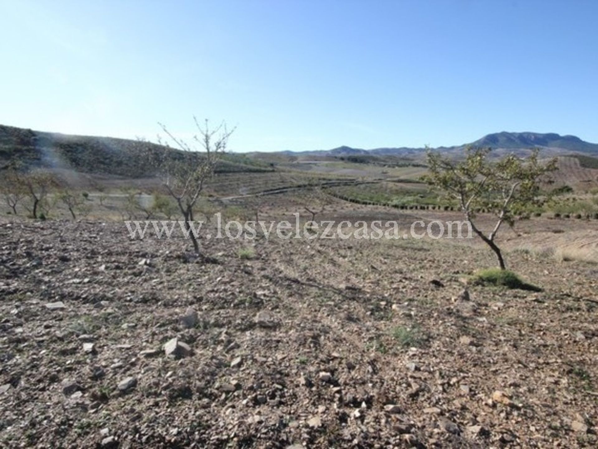 Jord i Vélez-Rubio, Andalucía 11149857