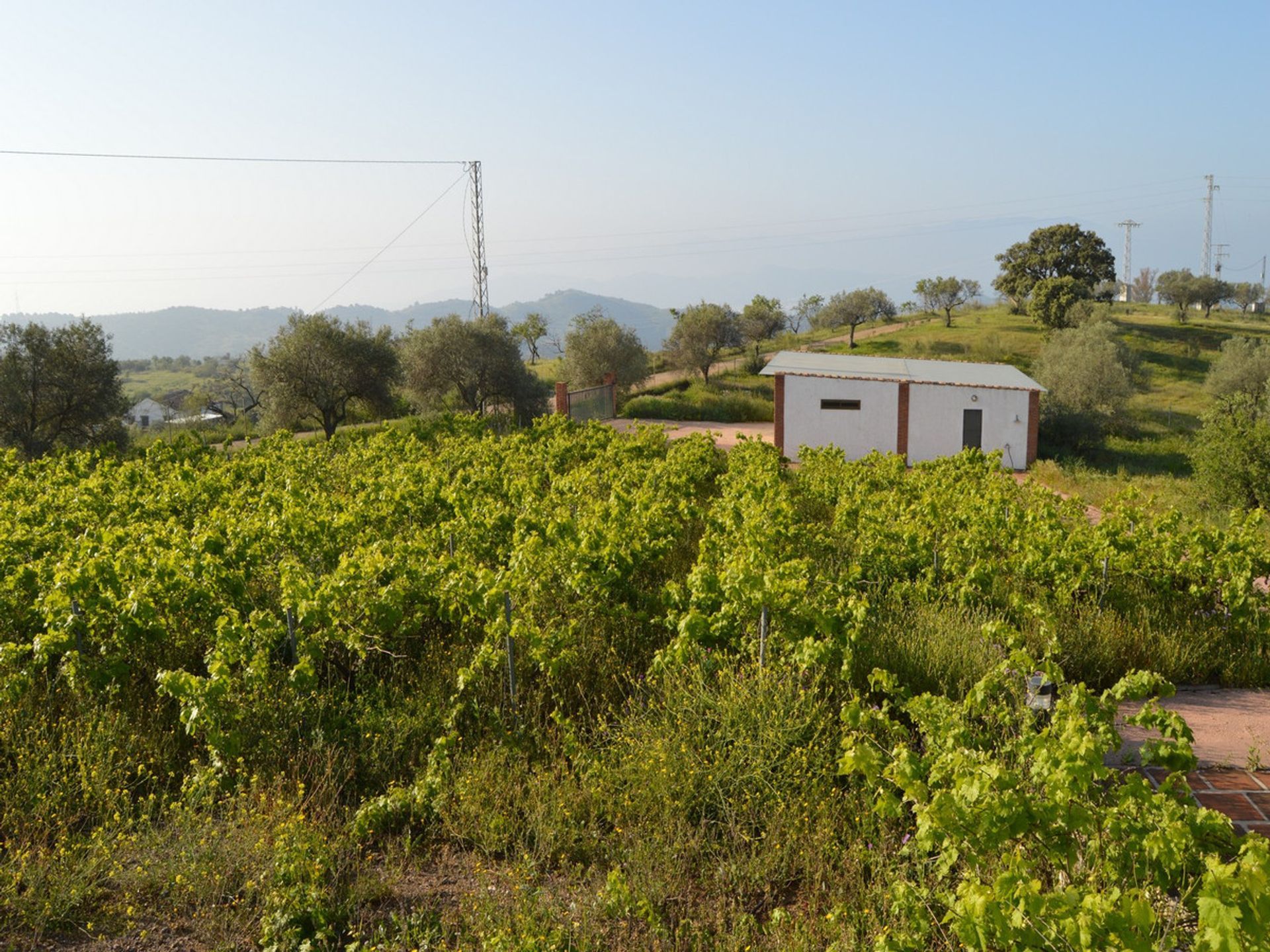 Haus im , Andalucía 11150045