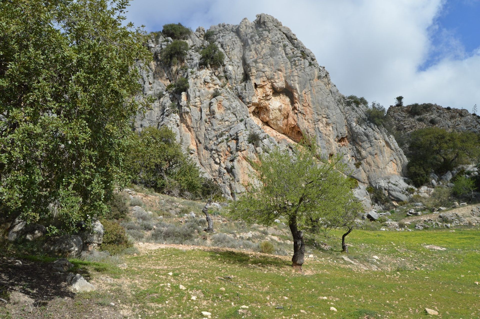 Terra no El Chorro, Andalucía 11150173