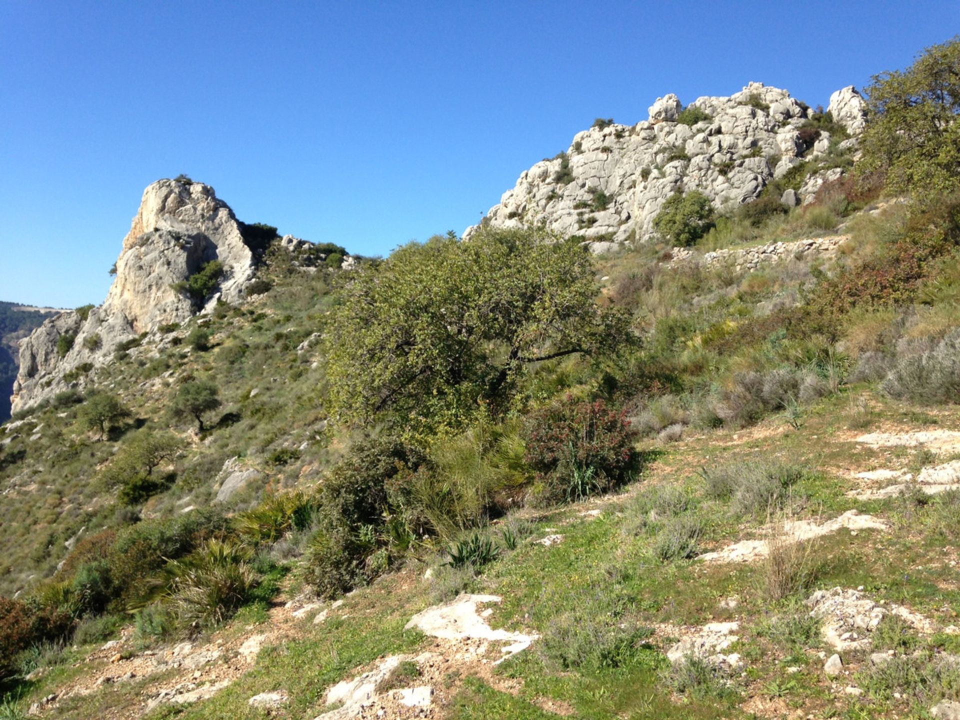 Terra no El Chorro, Andalucía 11150173