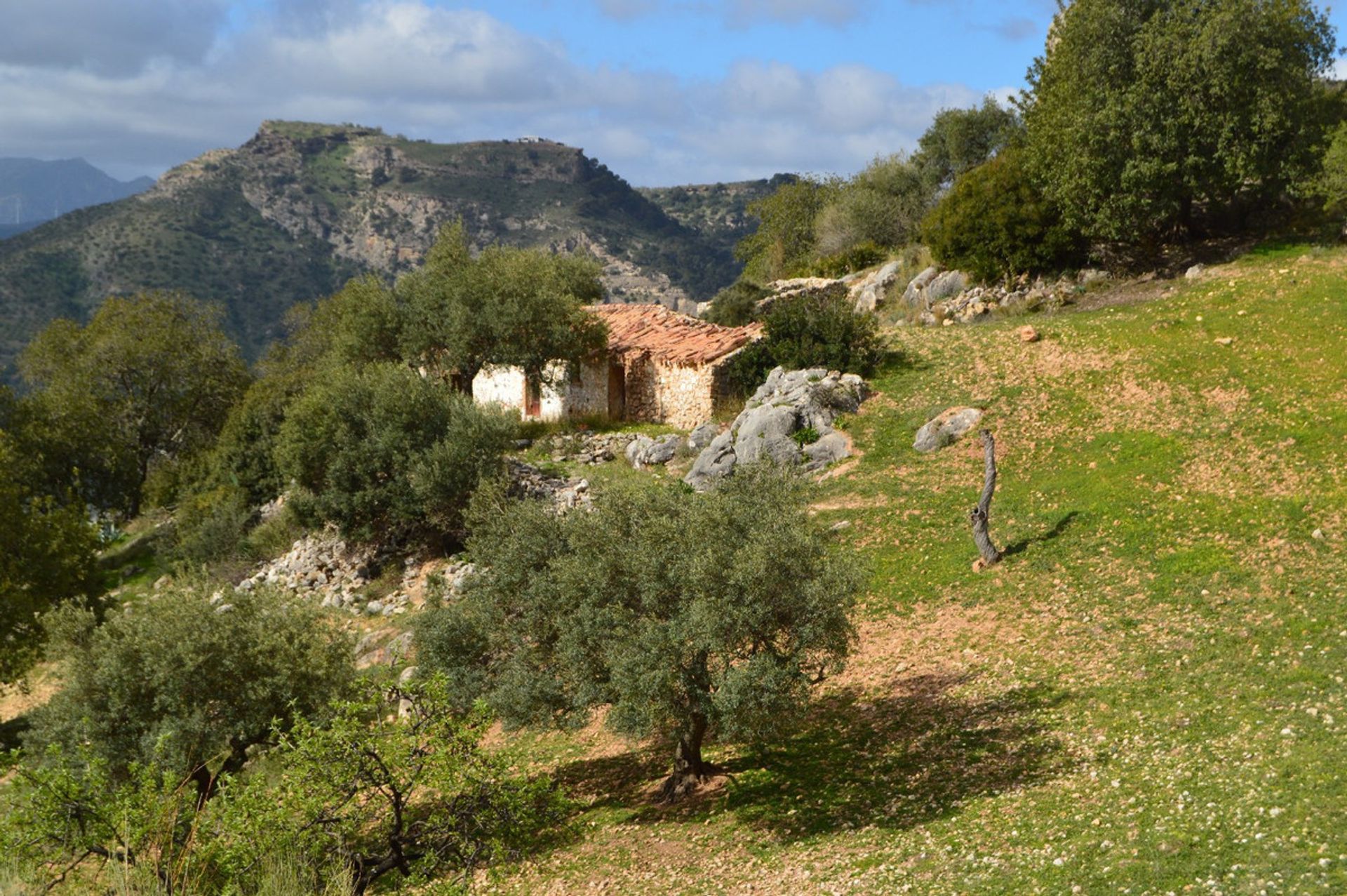 Terra no El Chorro, Andalucía 11150173