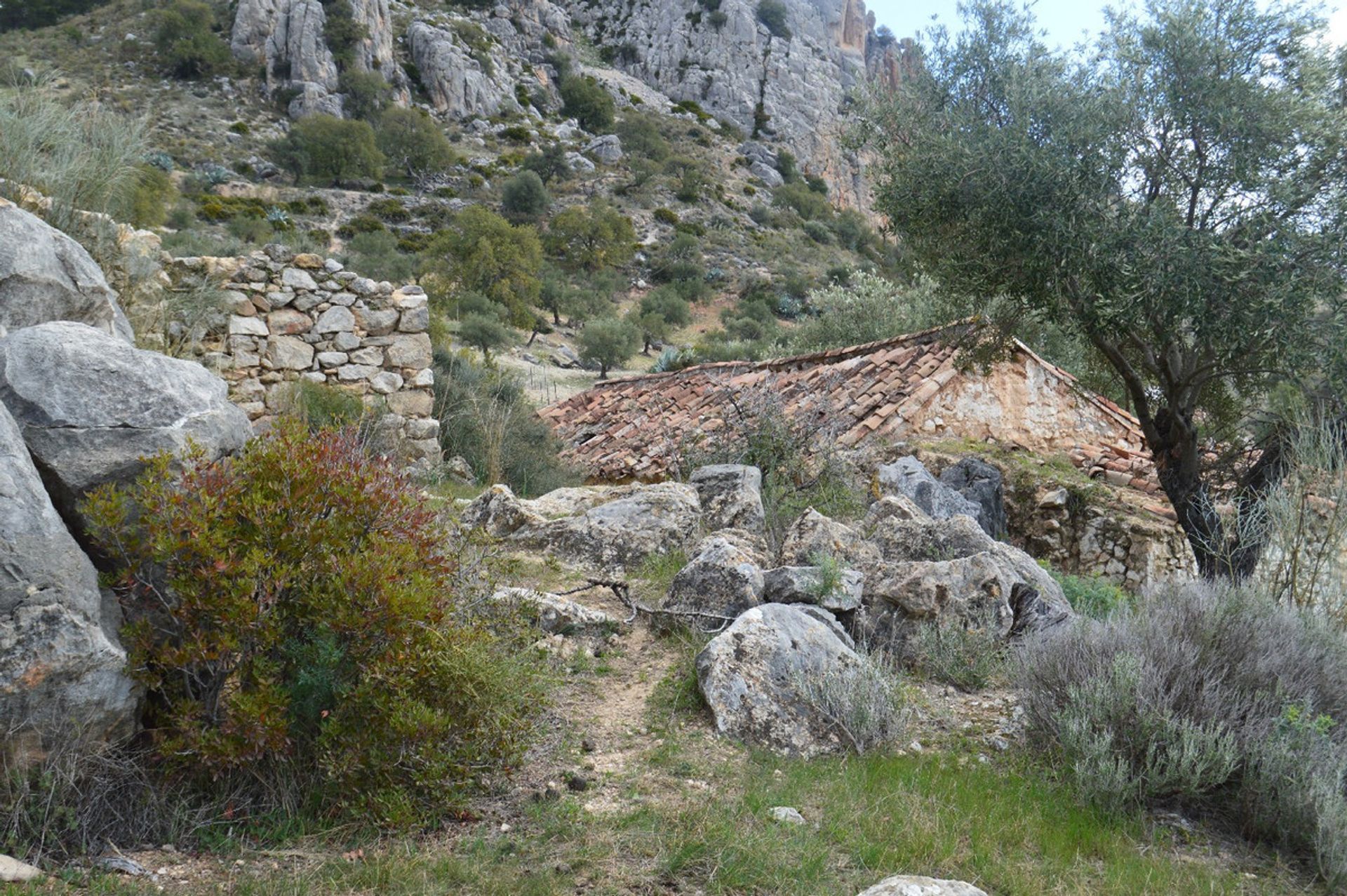 Terra no El Chorro, Andalucía 11150173