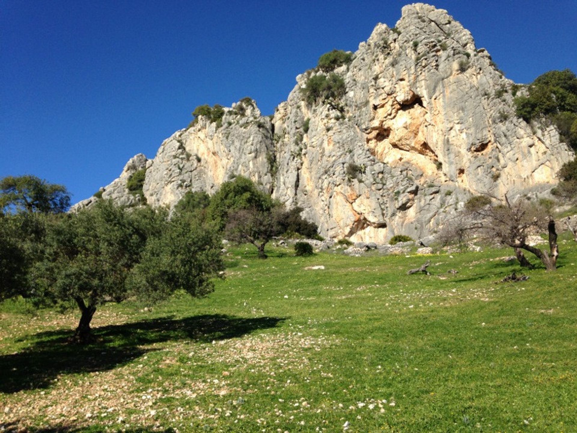 Terra no El Chorro, Andalucía 11150173