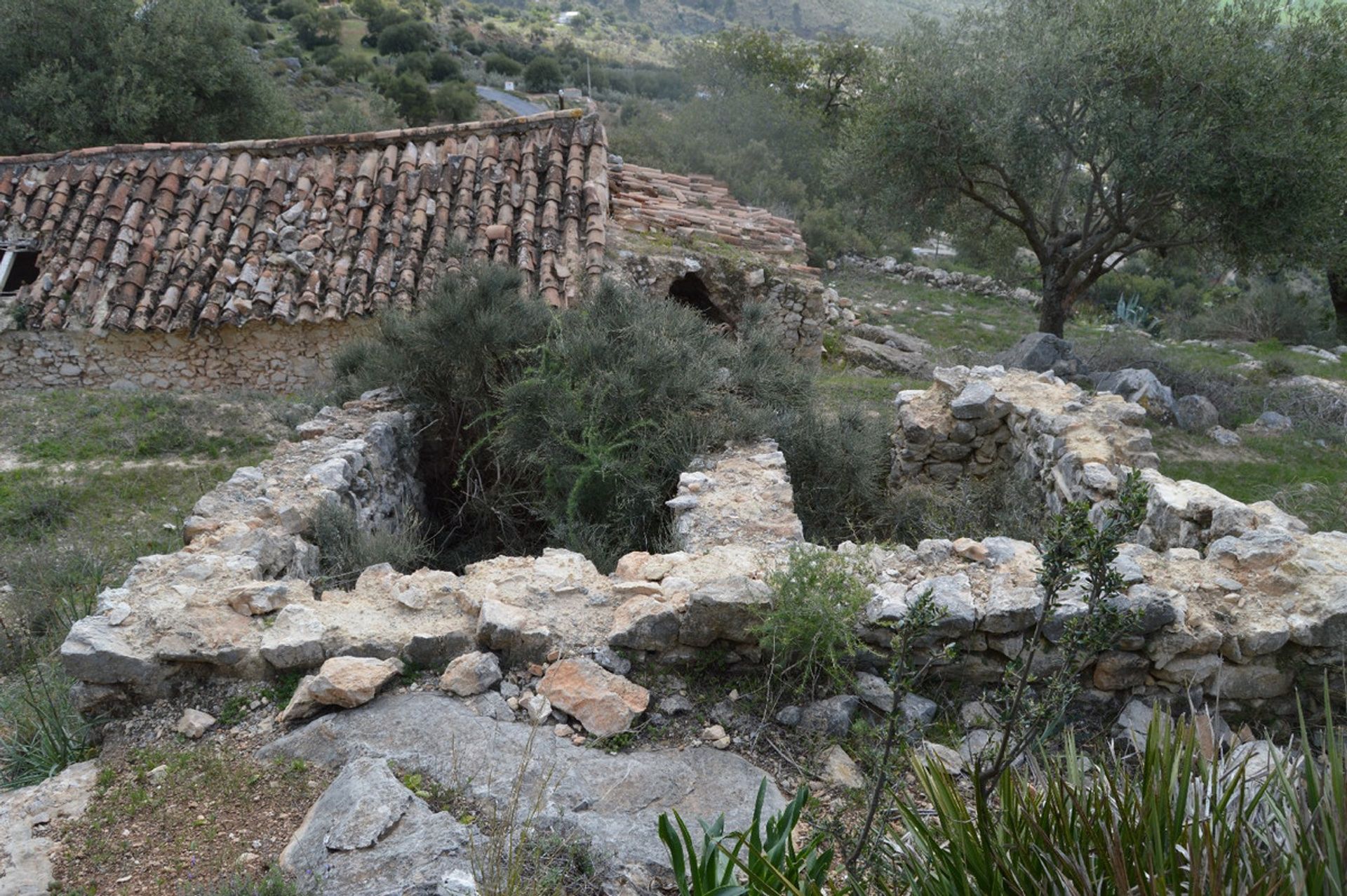 Terra no El Chorro, Andalucía 11150173