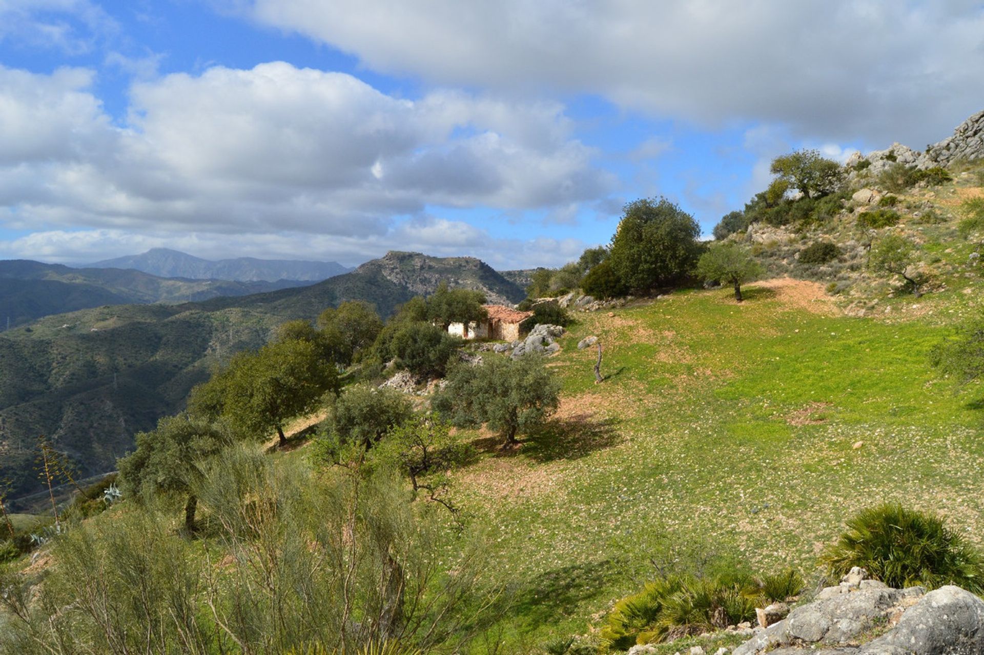 Terra no El Chorro, Andalucía 11150173